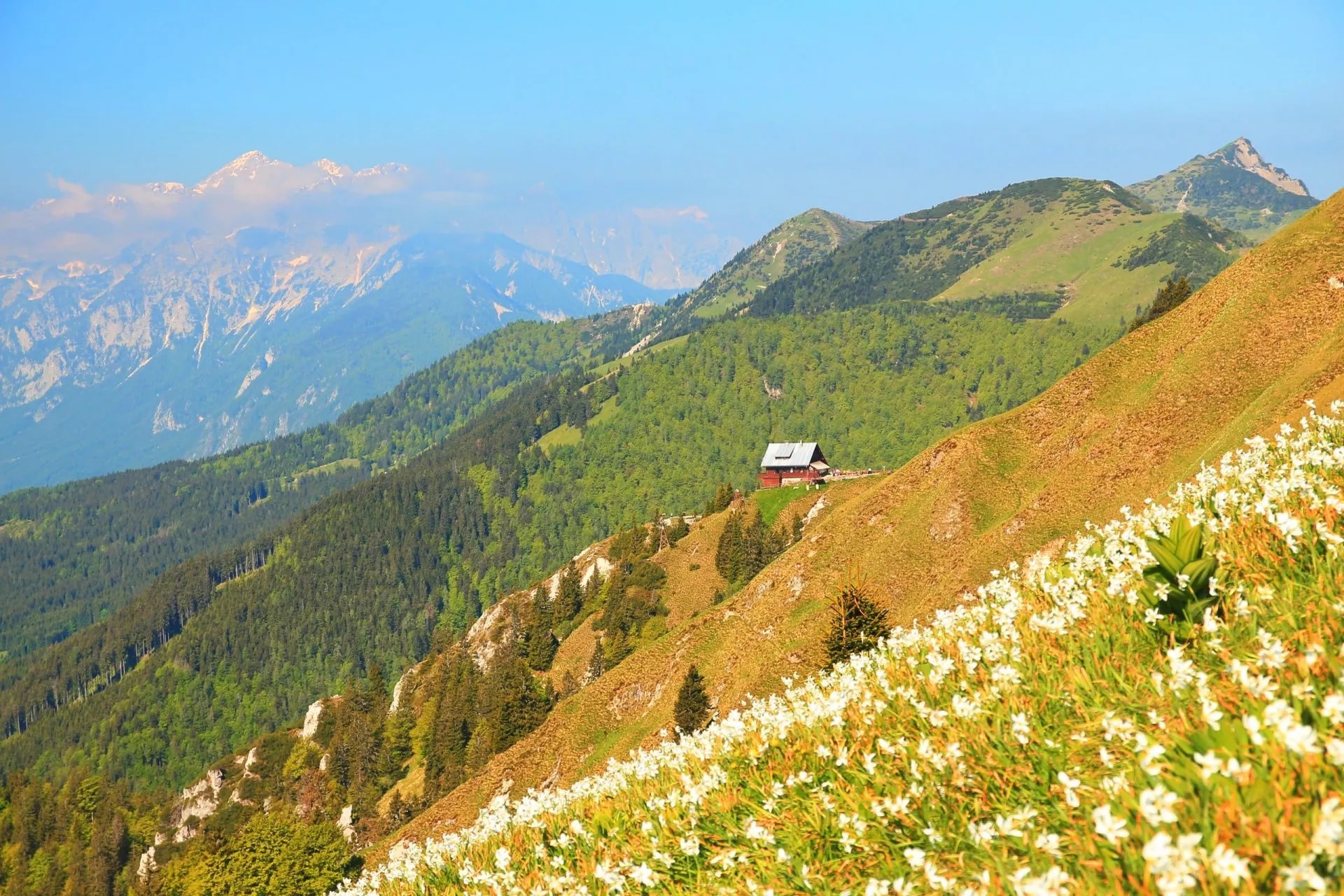 view of golica hut
