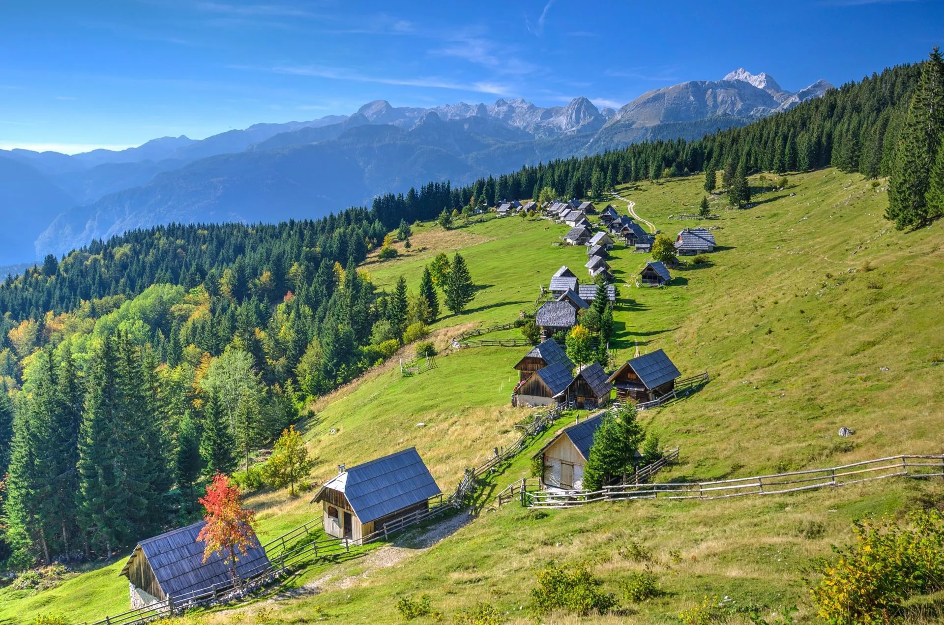 Mountain pasture with wooden huts, green slopes, and Julian Alps in background, Zajamniki.
