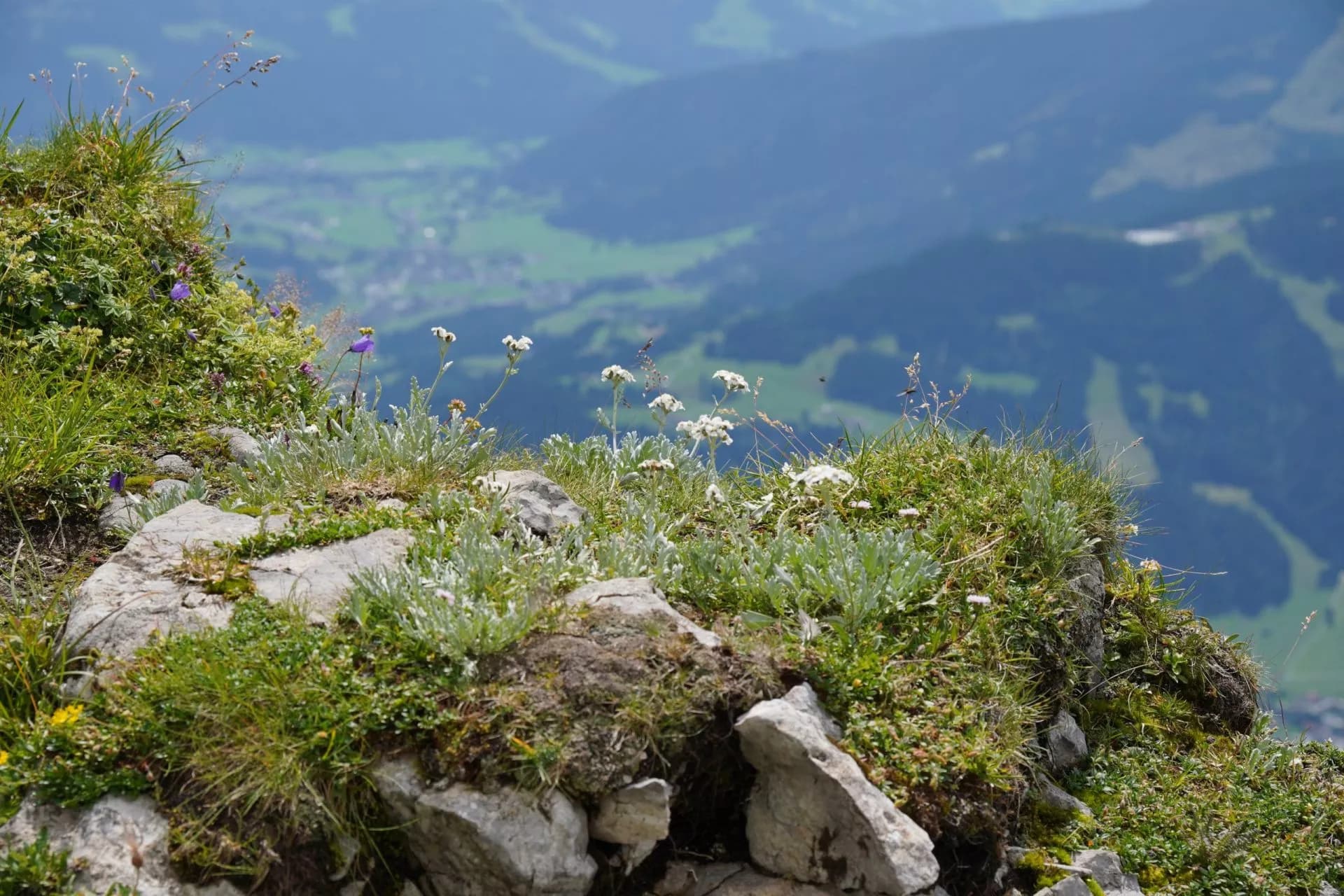 Wanderung zum Kleinen Törl im Wilden Kaiser