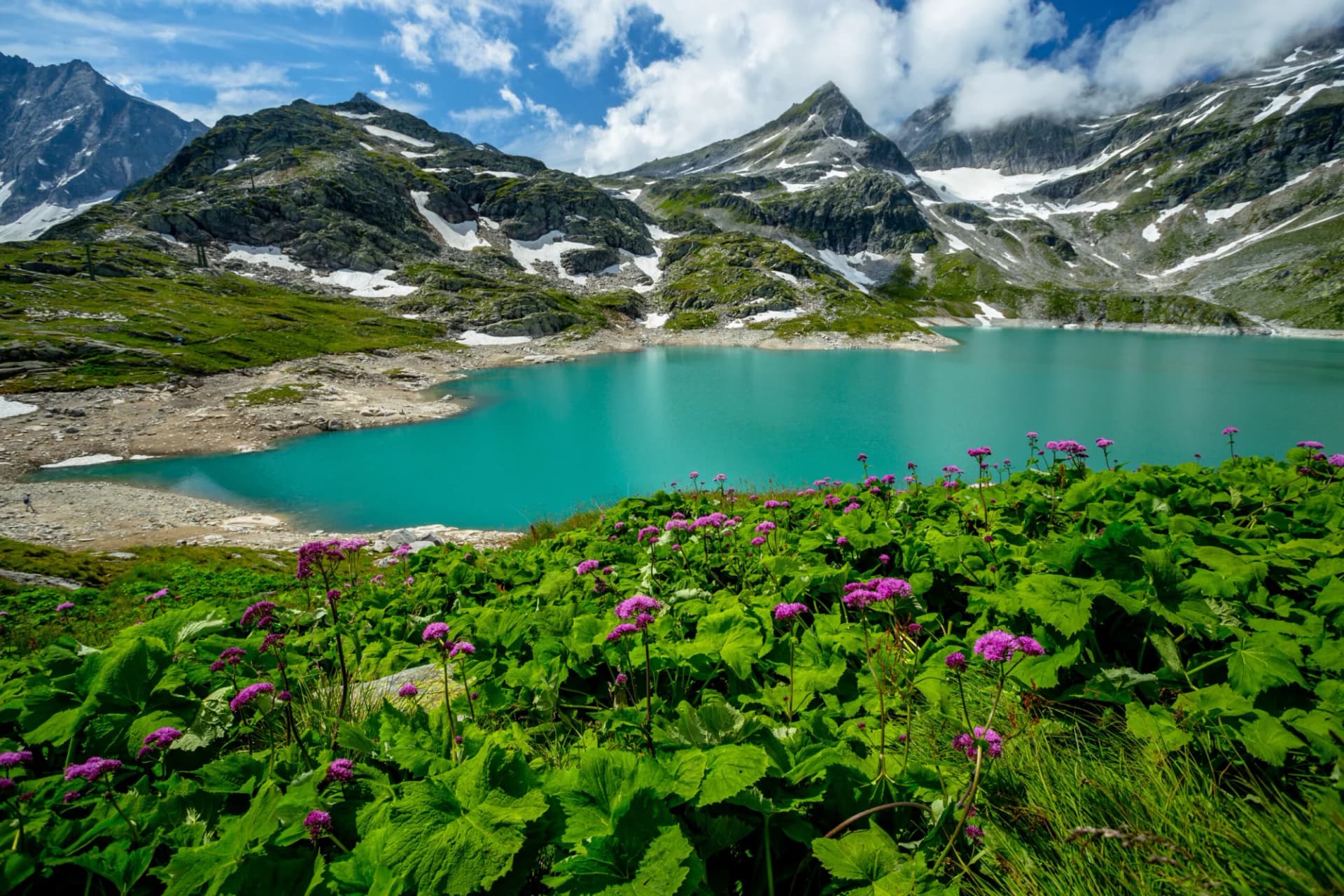 Beautiful View of the Turquoise Lake Weissee with Violet Flowers
