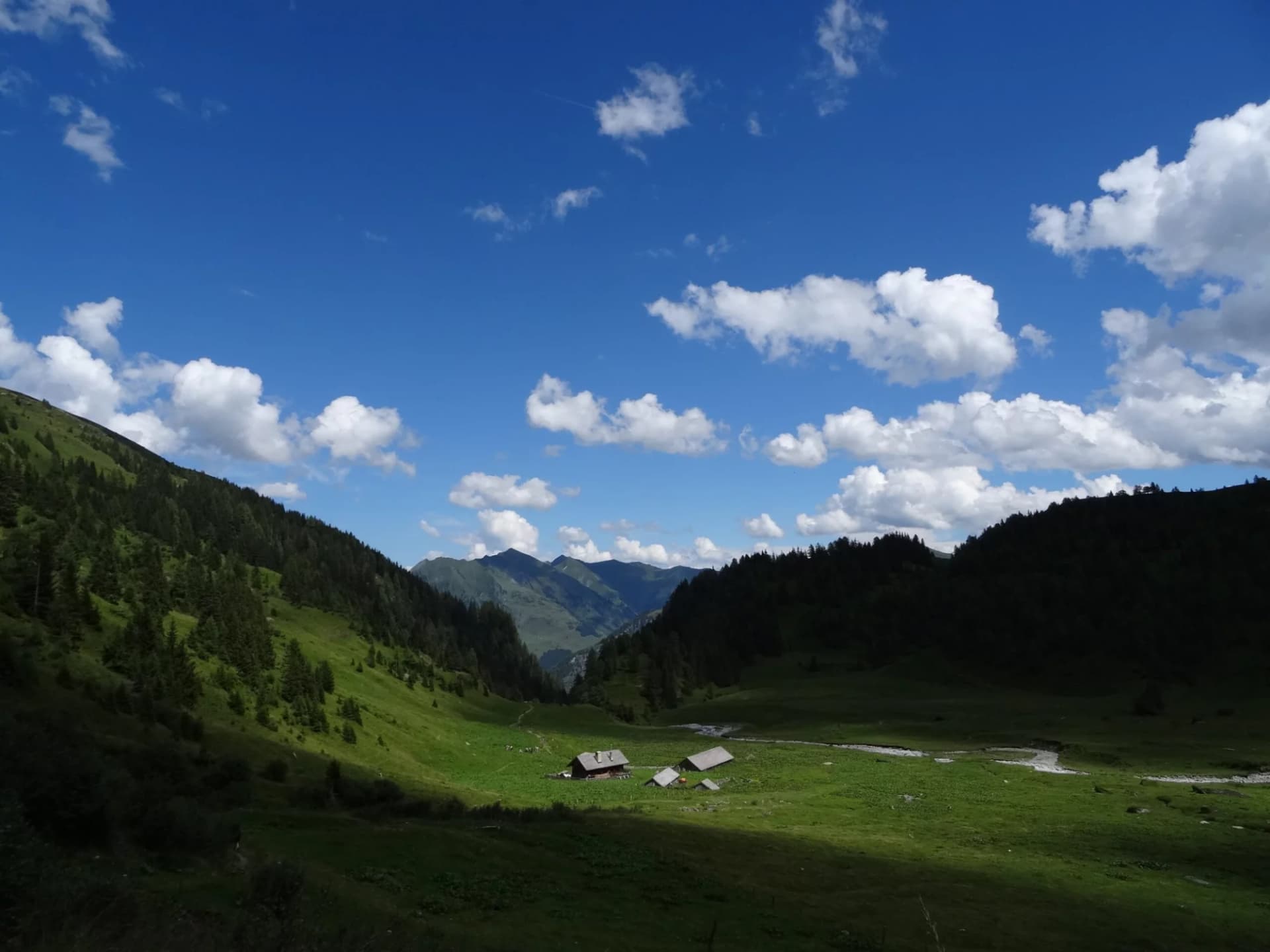 Urlaub in den Bergen, die Hirzbachalm, mit Alm, Wiese, Bergwald, Berge und ziehende Wolken am blauen Himmel