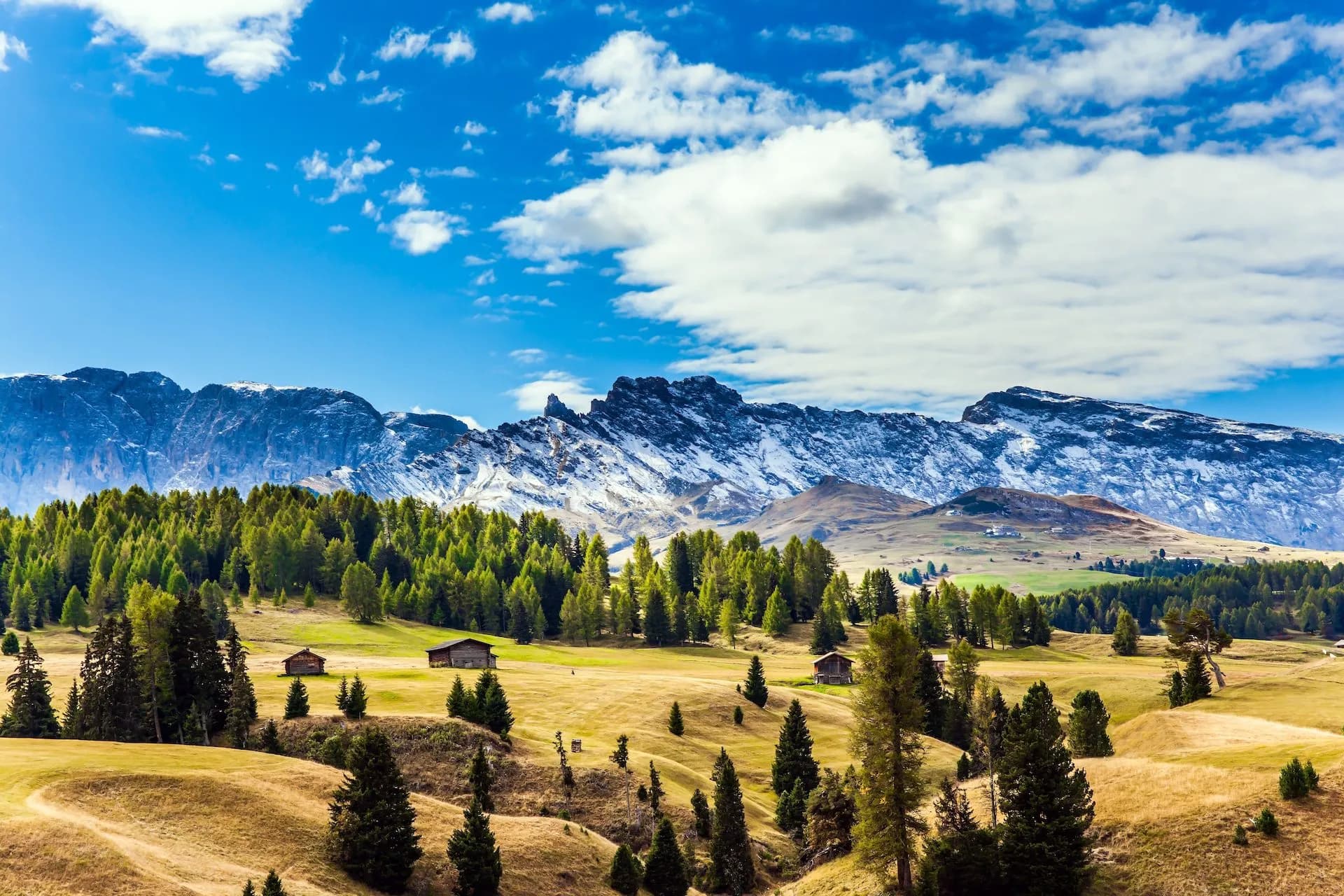 Alpe di Siusi rolling hills with scattered cabins, green forest, and snow-capped mountains under blue sky.
