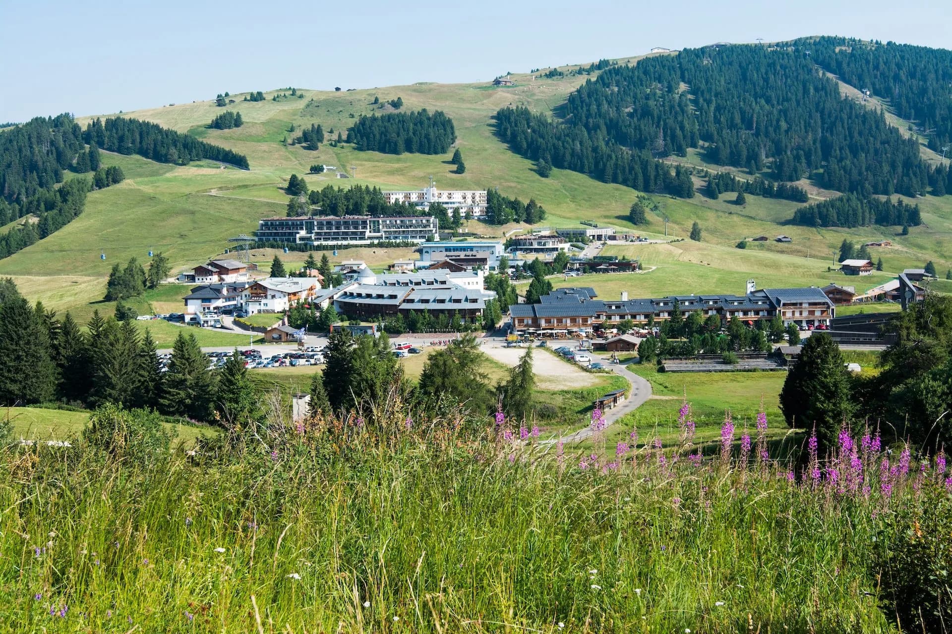 Alpine resort village nestled in green rolling hills with wildflowers in the foreground