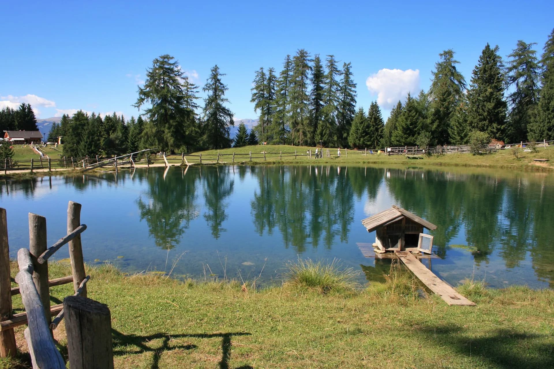 Alpine pond with wooden duck house and reflections of pine trees under blue sky