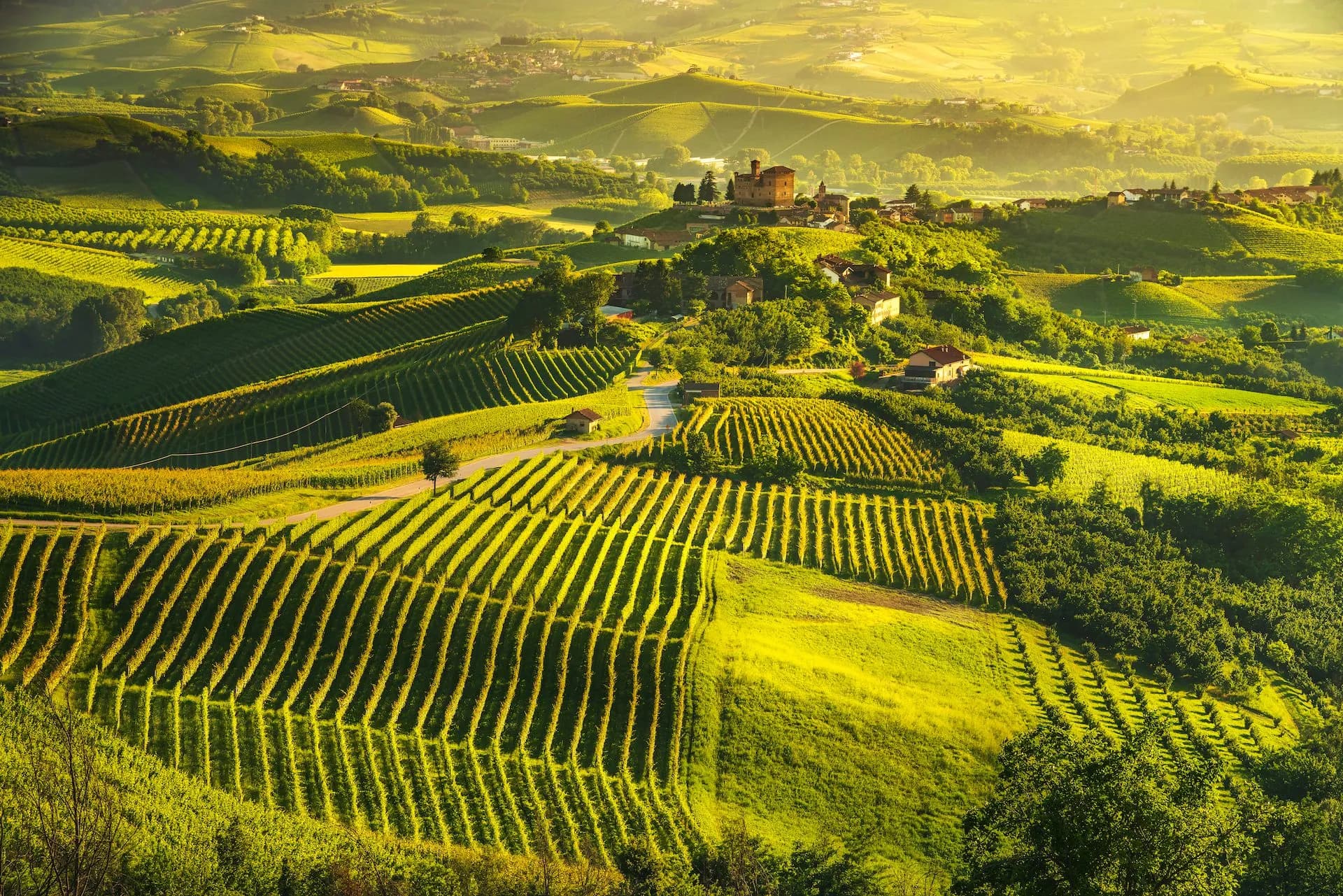 Rolling green hills covered in sunlit vineyards and scattered houses in Tuscany, Italy