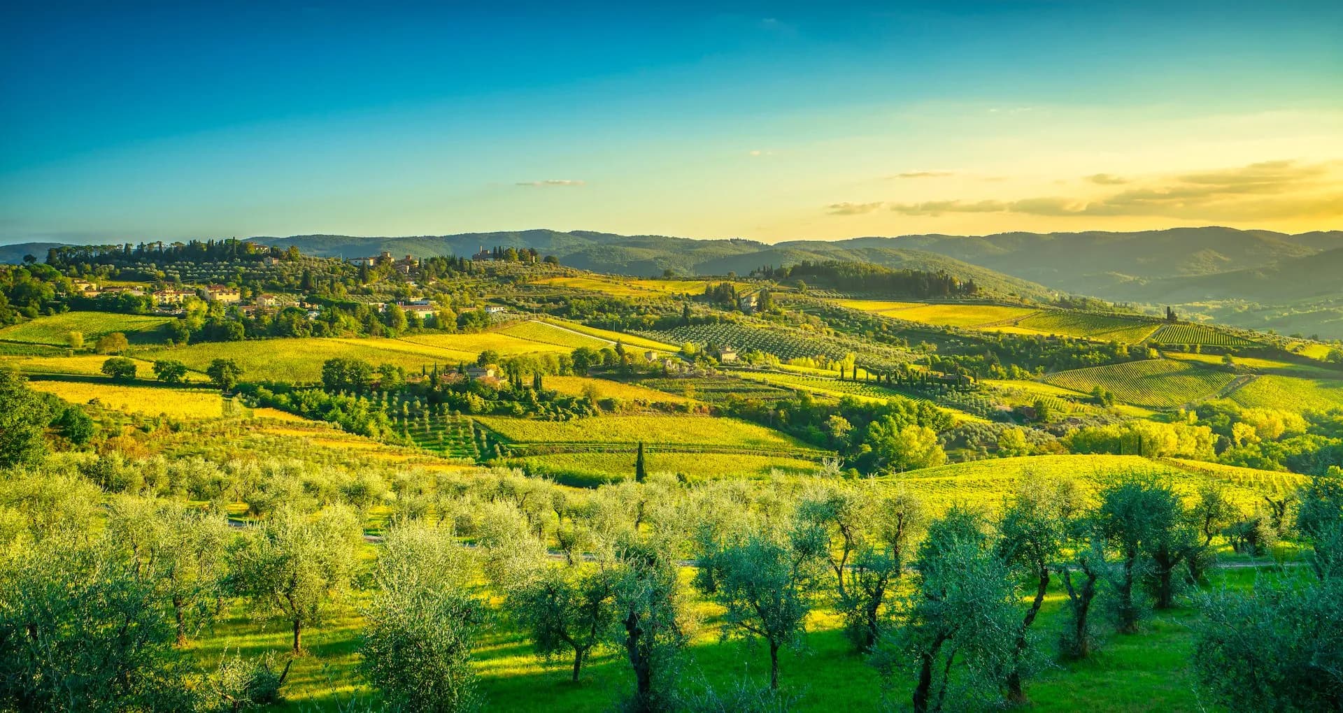 Rolling hills of vineyards and olive groves near Panzano under a bright blue and gold sky.