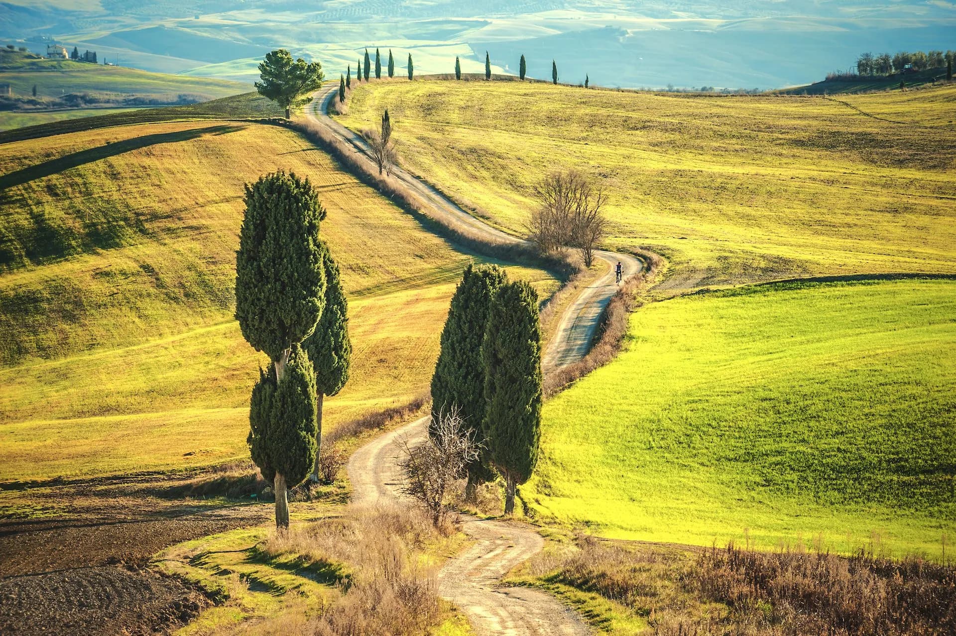 Cyclist on winding dirt road through rolling Tuscan countryside with cypress trees