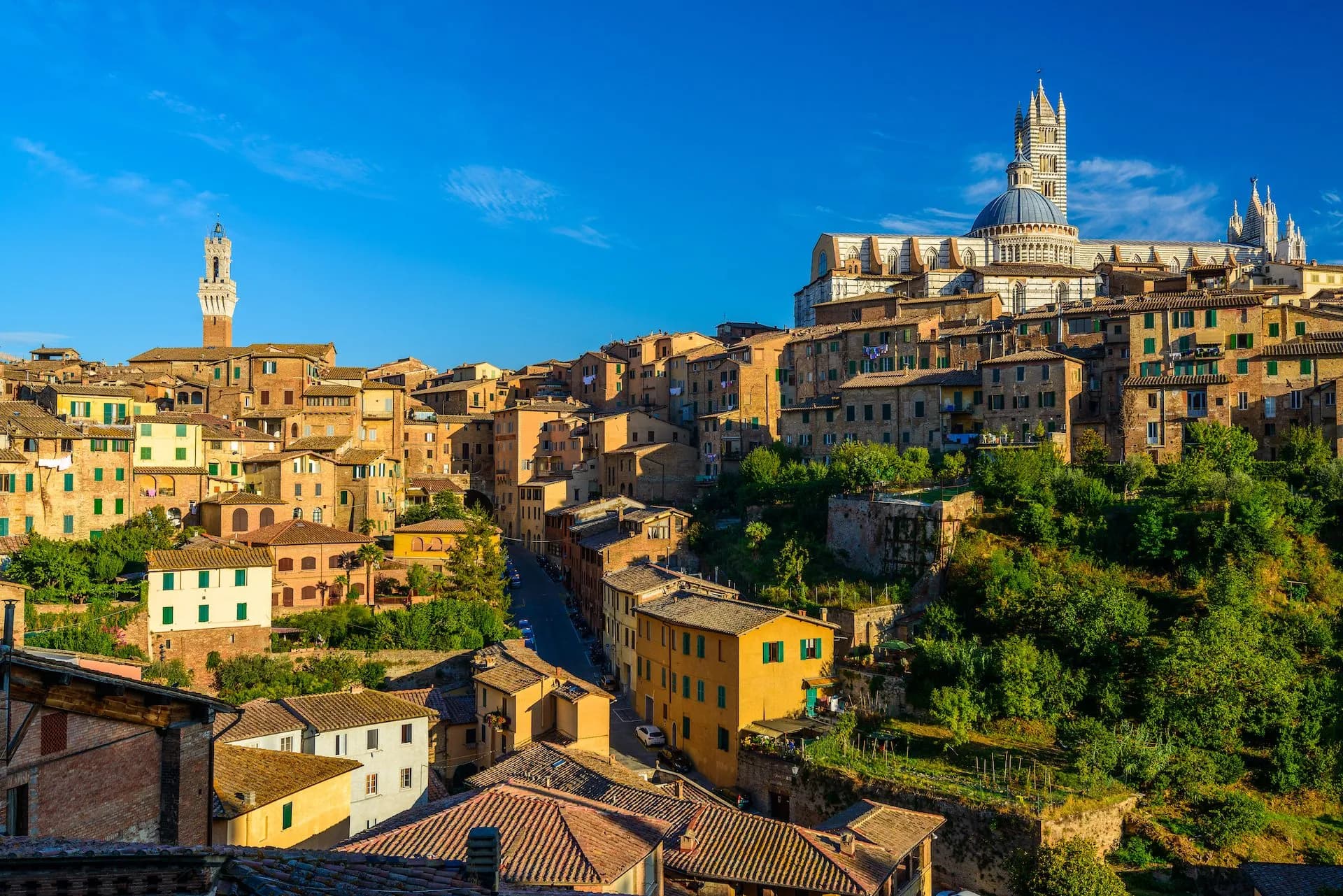 Historic buildings of Siena with the Duomo and Torre del Mangia under a bright blue sky.