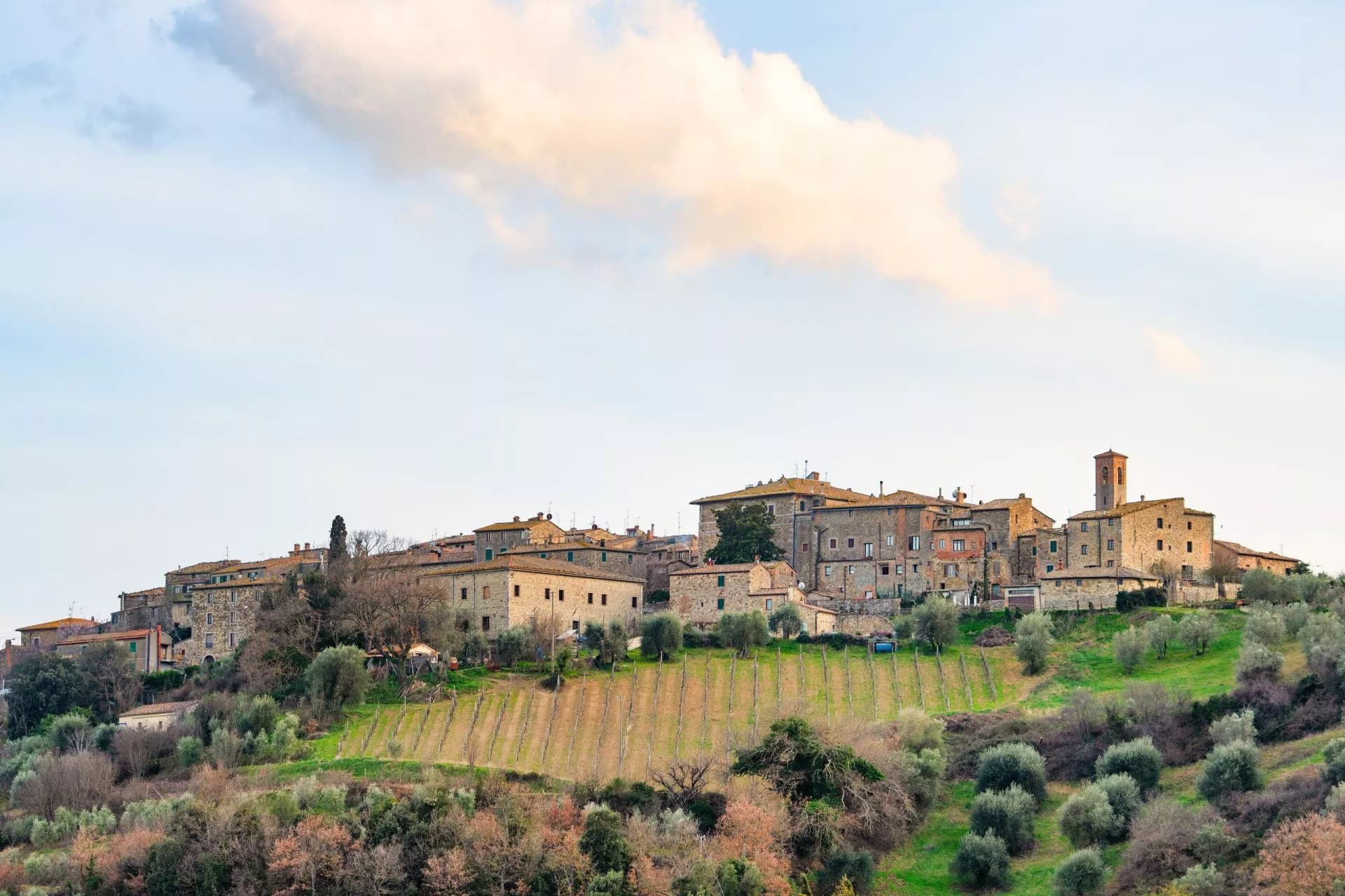Medieval village of Castelnuovo dell'Abate perched on a hill above vineyards and olive groves.