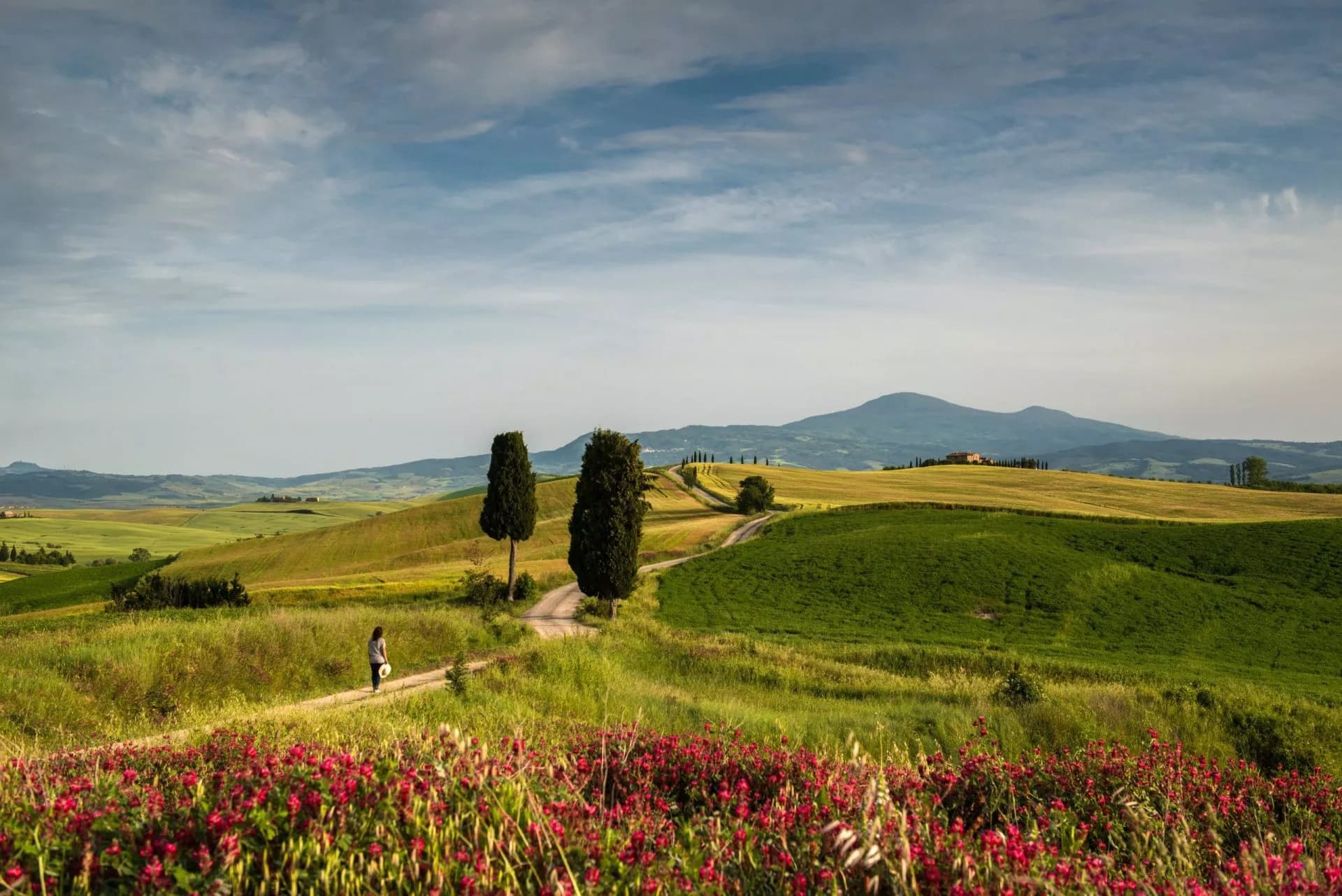 Woman walking on dirt path through rolling green hills with cypress trees in Tuscany