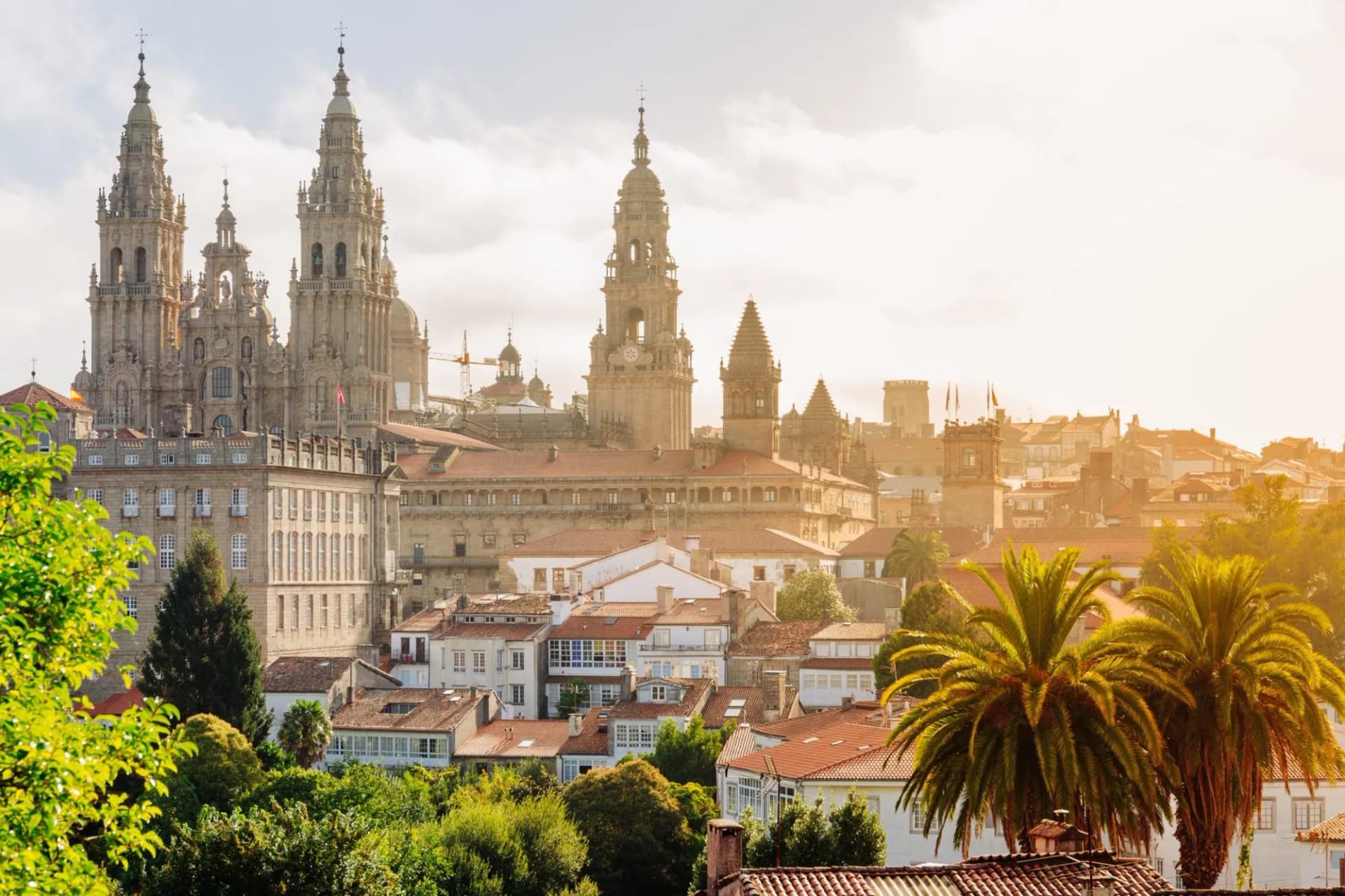 Cathedral at sunrise in Santiago de Compostela over rooftops and palm trees.