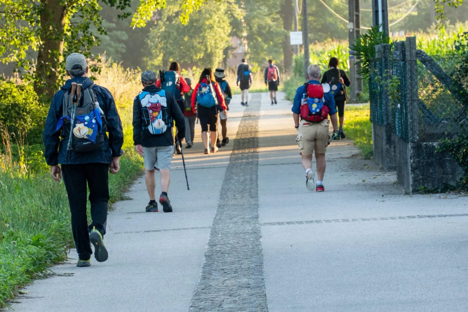 Pilgrims hiking with backpacks on paved path near green foliage, final kilometers before Santiago.