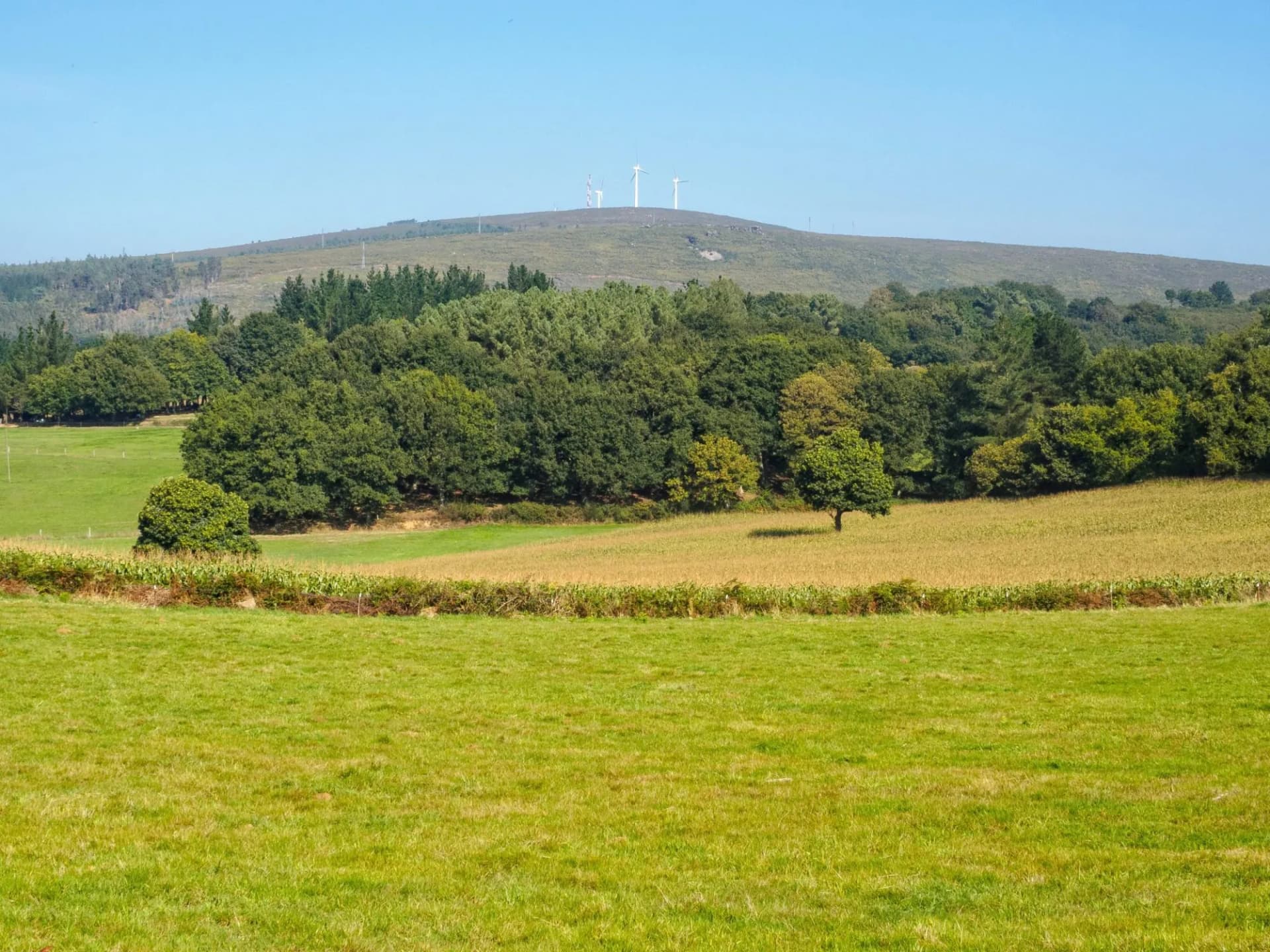 Windmills on top of the hill - Palas de Rei, Galicia, Spain