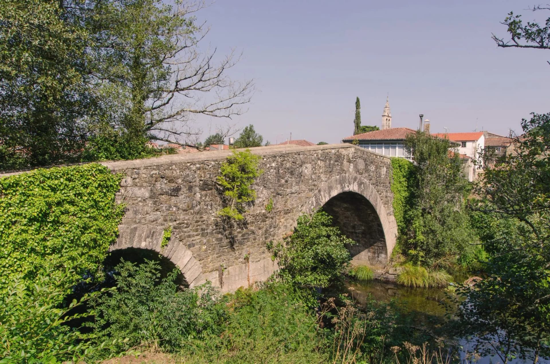 Stone bridge covered in ivy over a stream near buildings in Melide on the Camino.