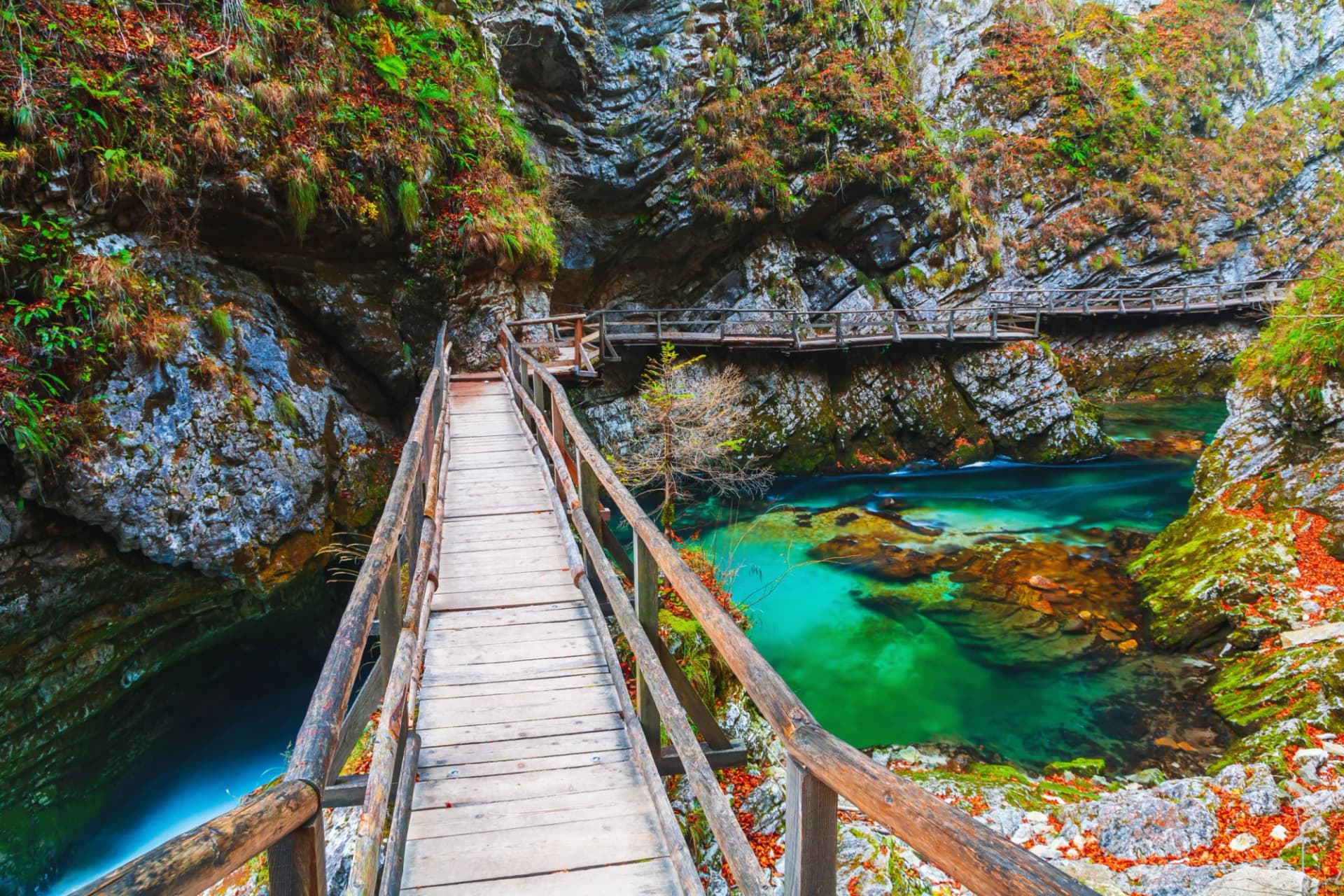 Wooden path over turquoise water in Vintgar Gorge canyon with autumn colors near Bled Lake.