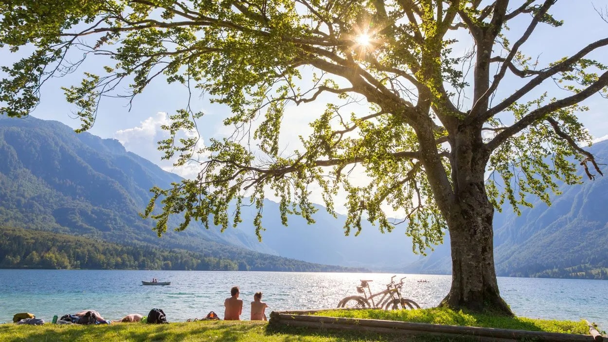 Relaxing on Bohinj lake beach under a large tree with mountains in the background