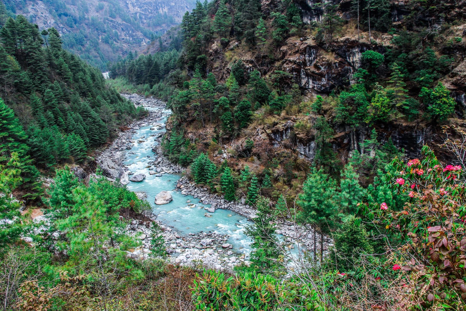 Turquoise Dudh Koshi river flowing through a rocky gorge with steep, forested slopes.