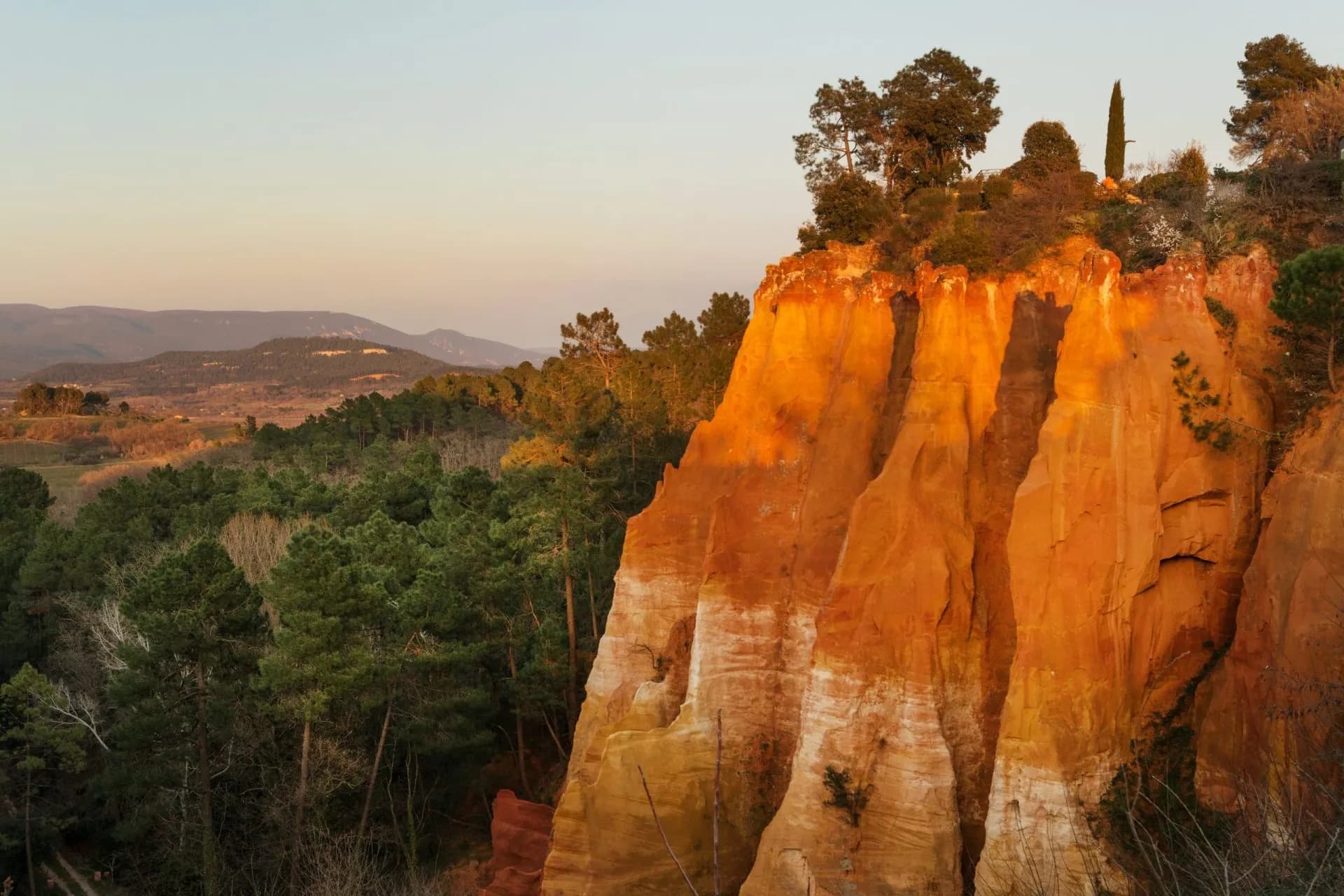 Ochre cliffs near Roussillon illuminated by sunset light above a pine forest.