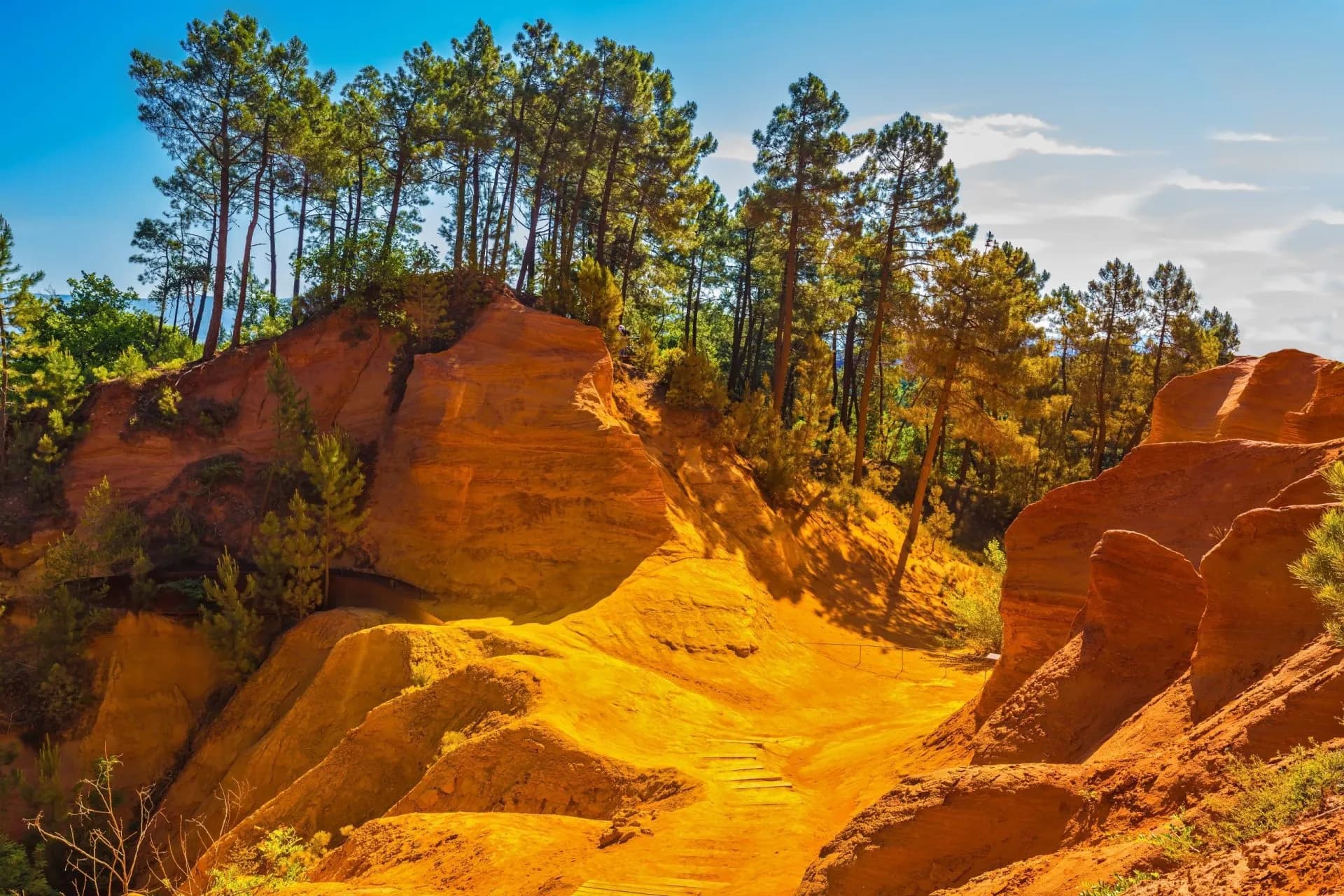 Ochre landscape near Roussillon with yellow earth cliffs and pine trees under blue sky.