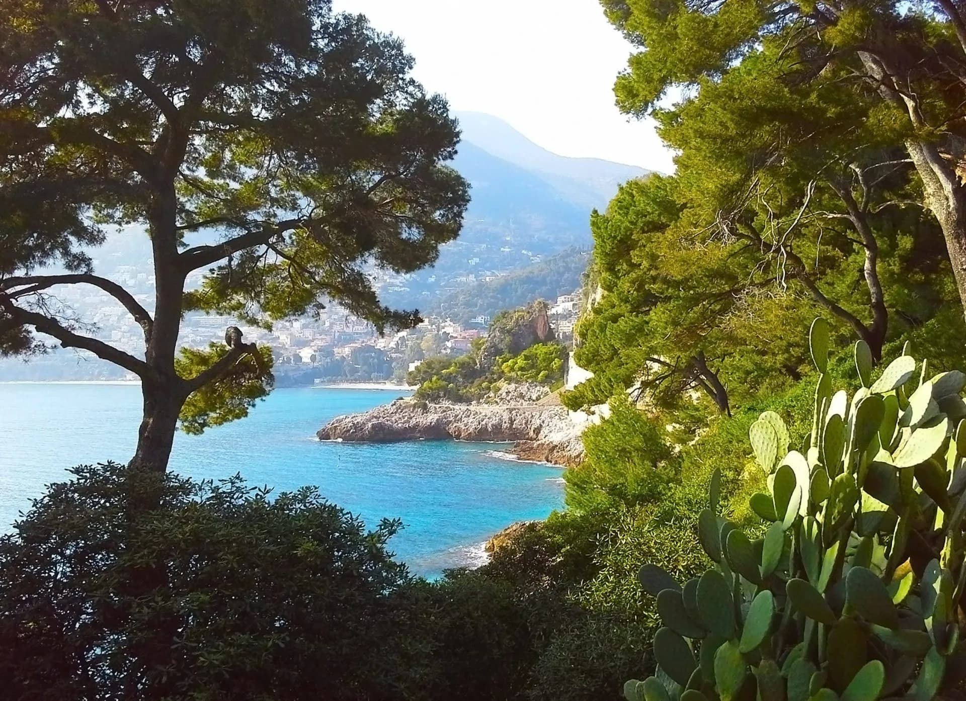Coastal view of Cap Martin with turquoise sea, lush trees, and distant town nestled by mountains.