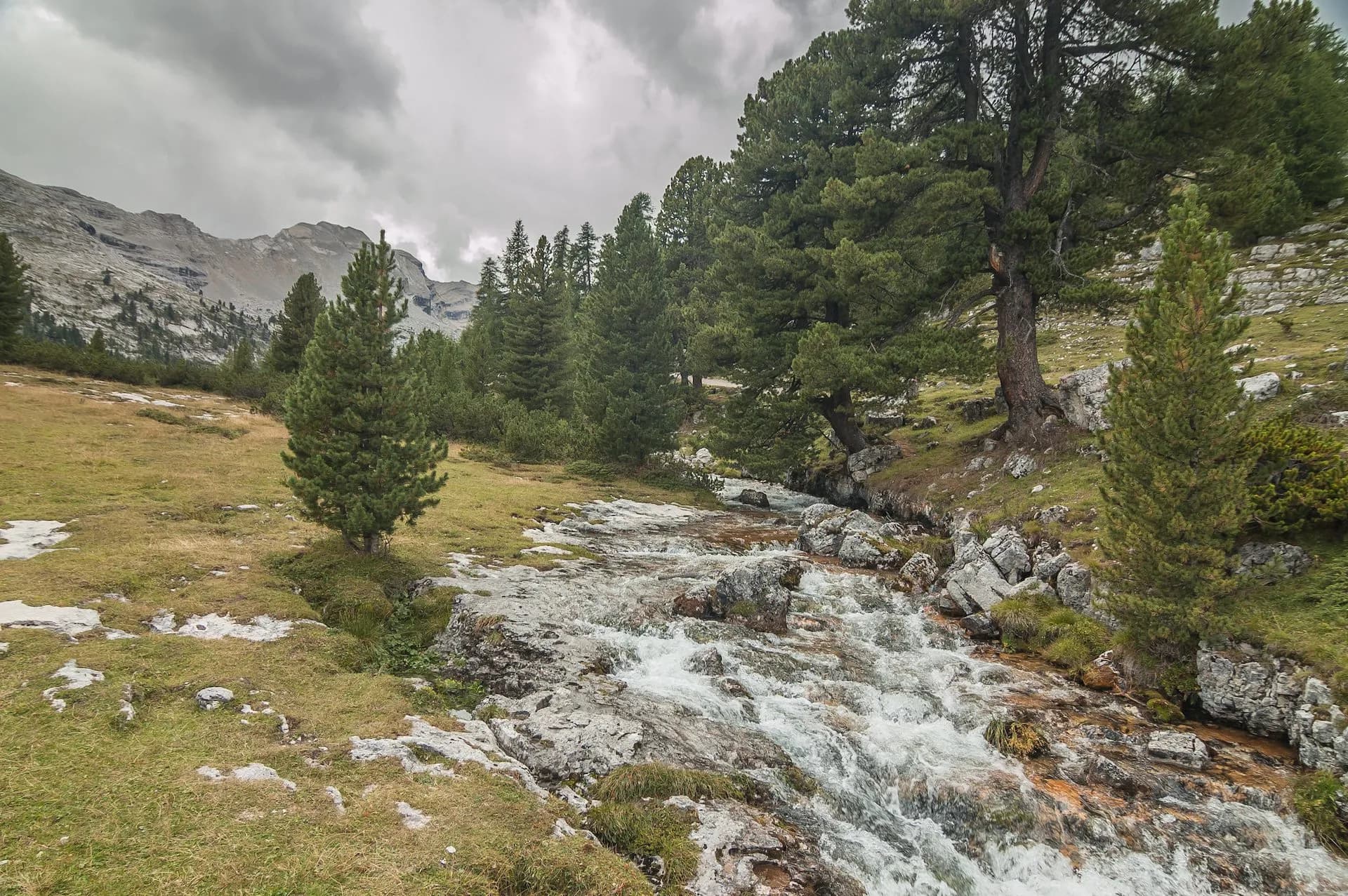 Rushing mountain stream flowing over rocks near pine trees below Rifugio Fanes.