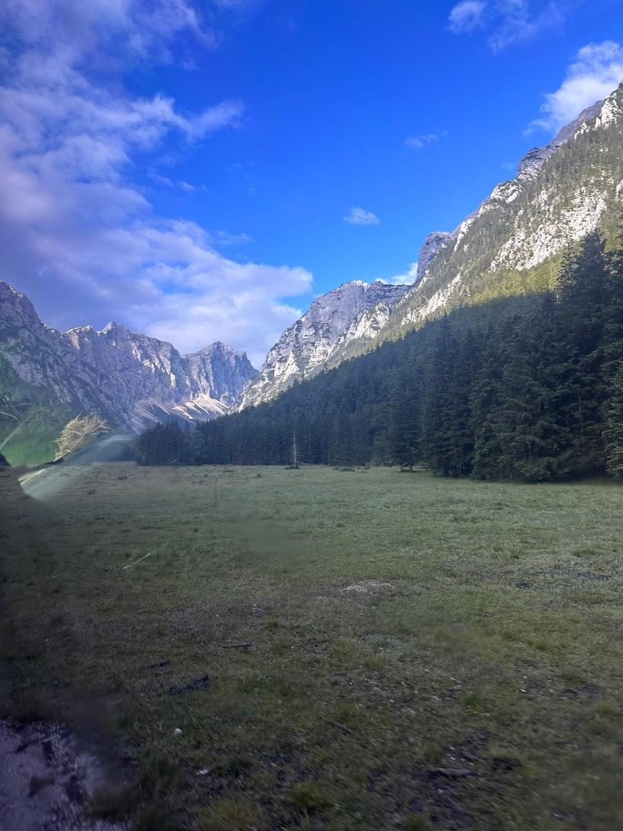 Alpine valley floor with green meadow, dense pine forest, and rocky mountains under blue sky