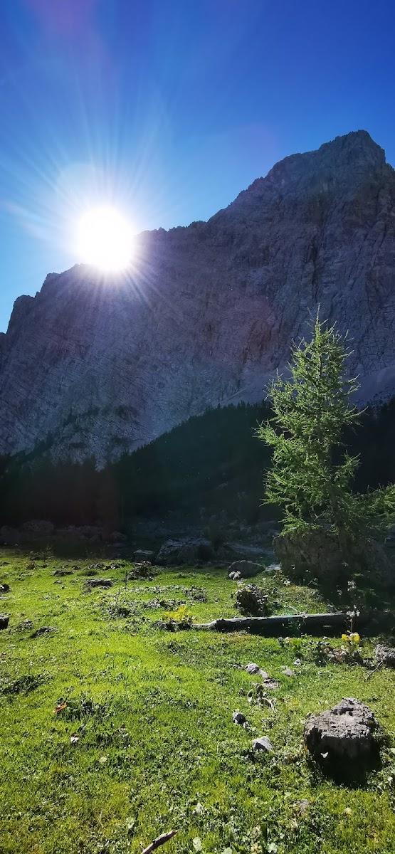 Bright sun flare over massive rocky mountain above green alpine meadow with sparse trees