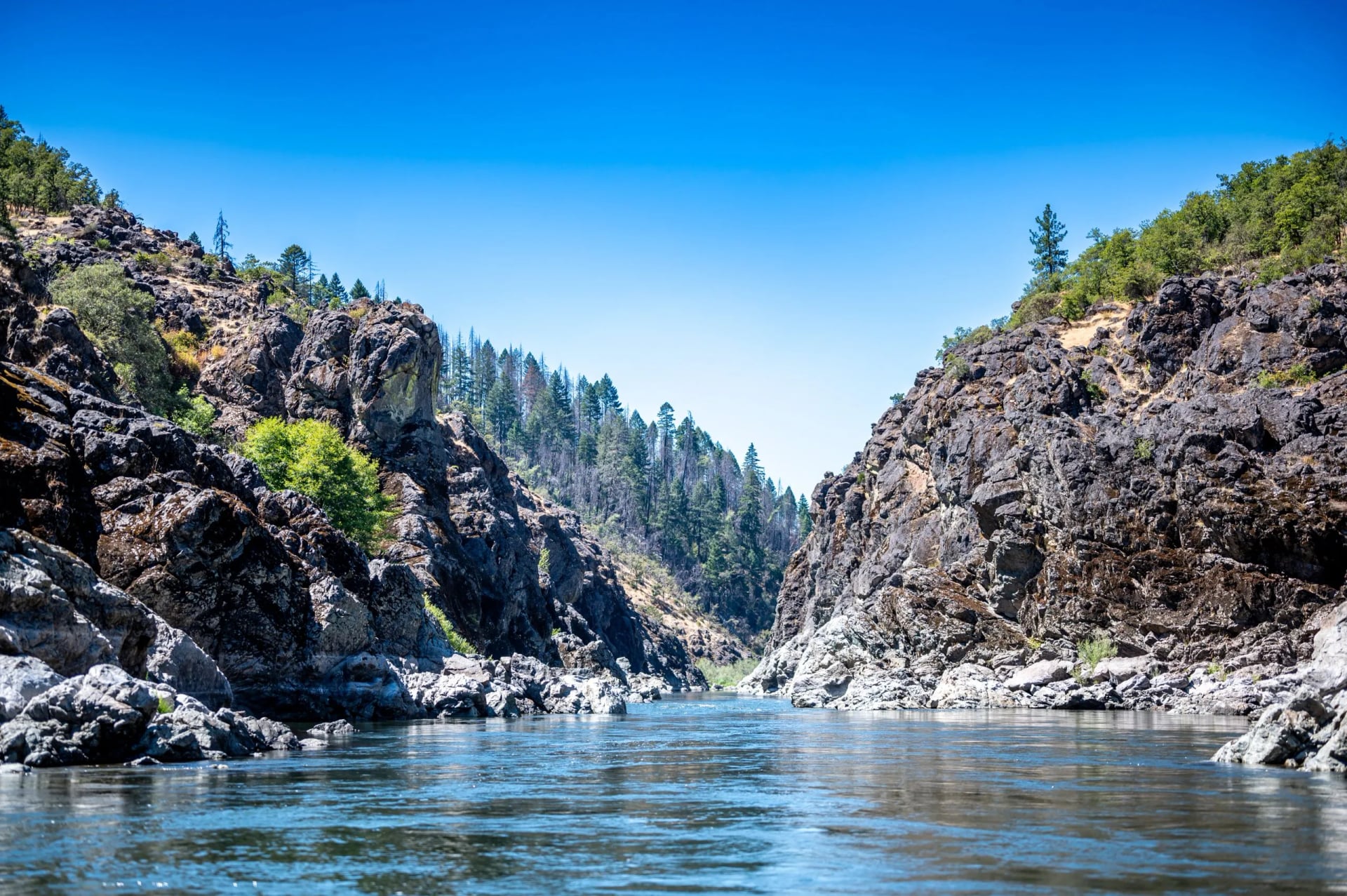 A green river running between steep rock walls under conifers