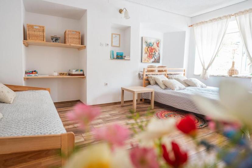 Apartma Roner image 1