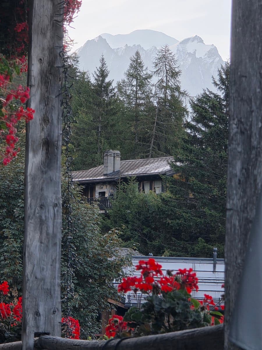 Snow-capped mountain peaks over pine forest, viewed through wooden frame with red flowers.