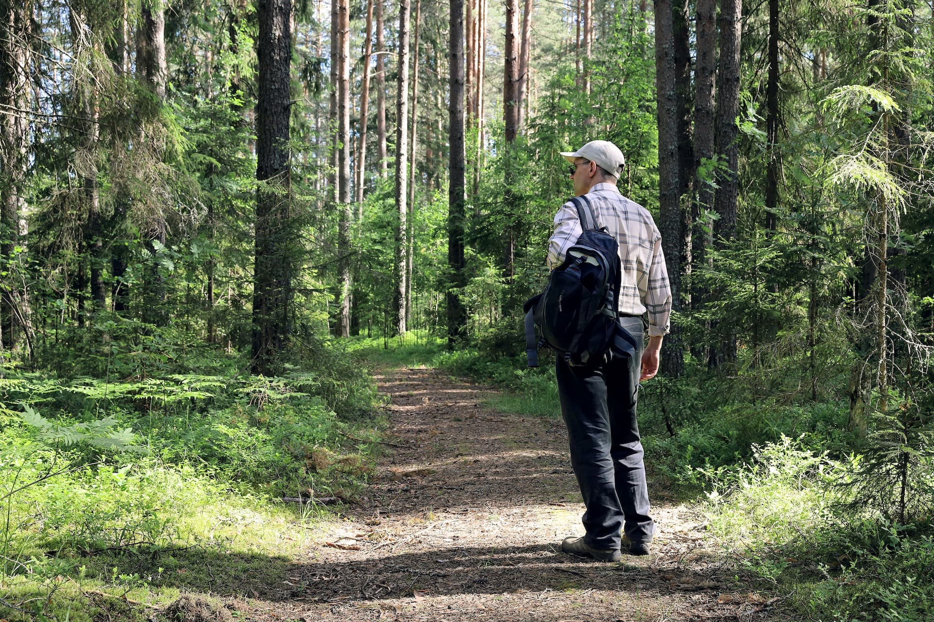Hiker with backpack standing on dirt path in dense green forest with tall pine trees.