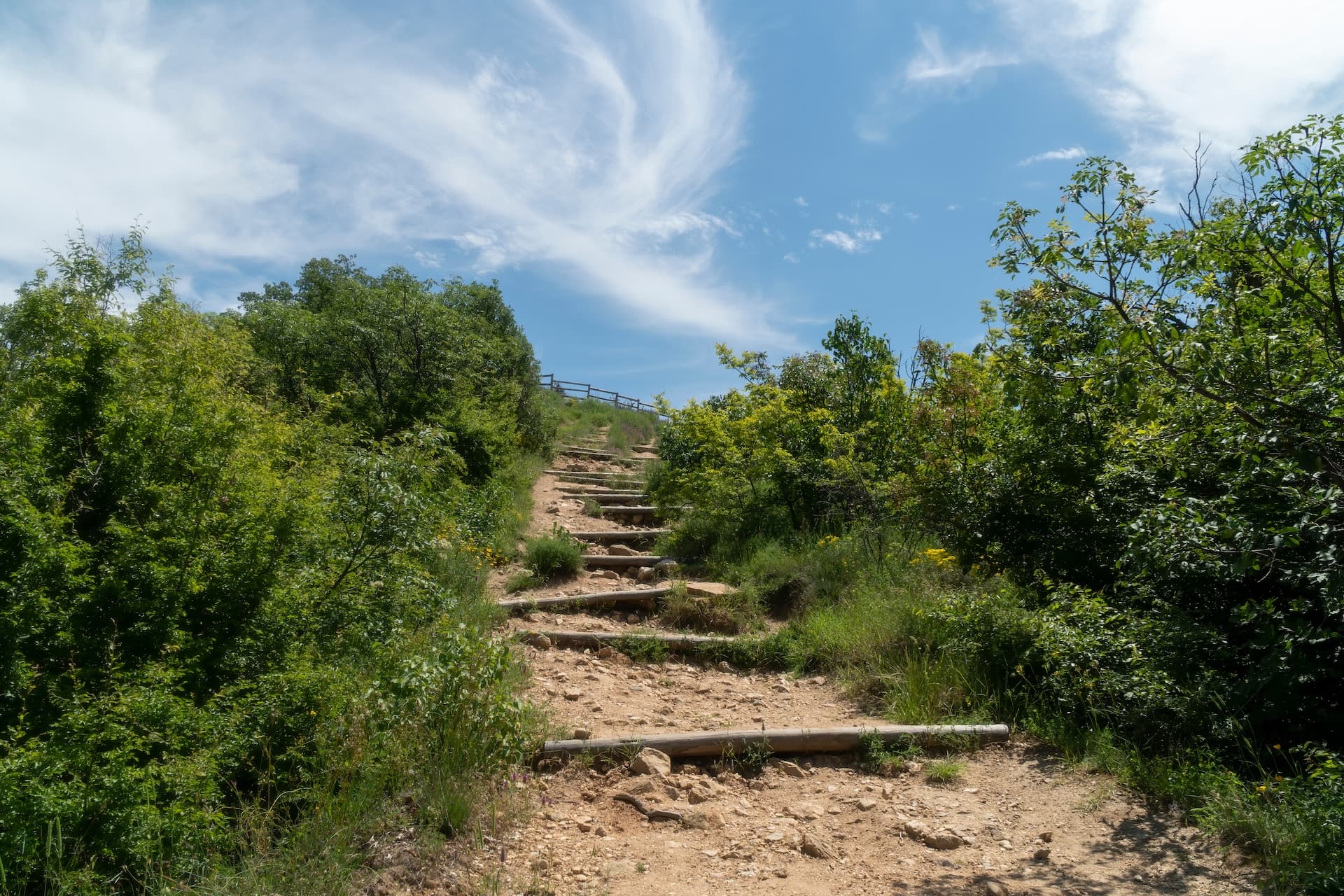 Dirt hiking trail with wooden steps ascending through green summer foliage under a blue sky.