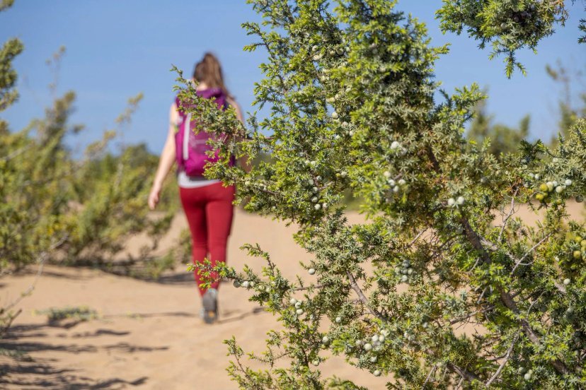 The Corfu Trail