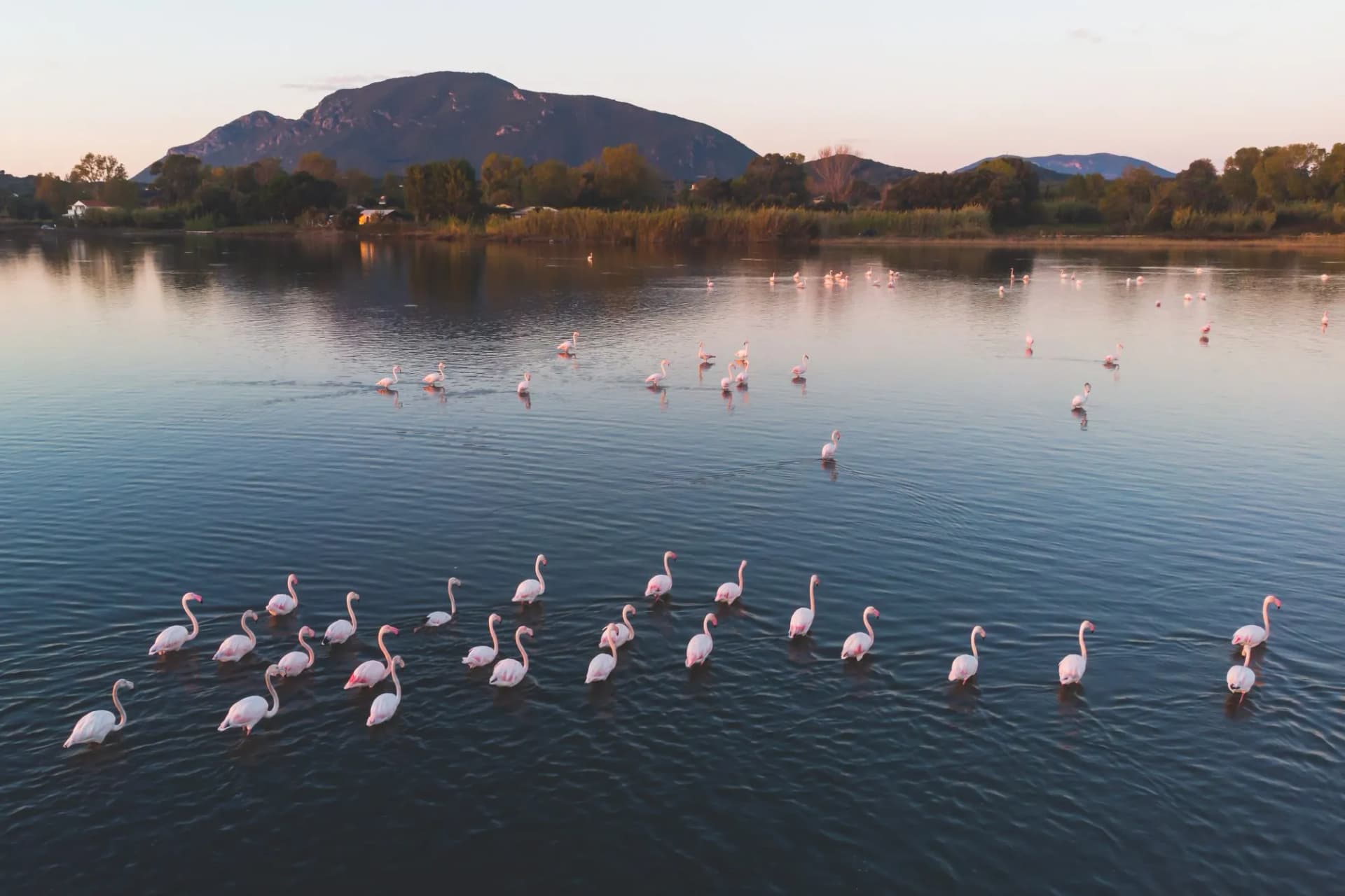 Beautiful aerial vibrant view of Korission Lake Lagoon landscape, Corfu island, Greece with pink flamingos flock, Ionian sea beach and mountains in a summer sunny day