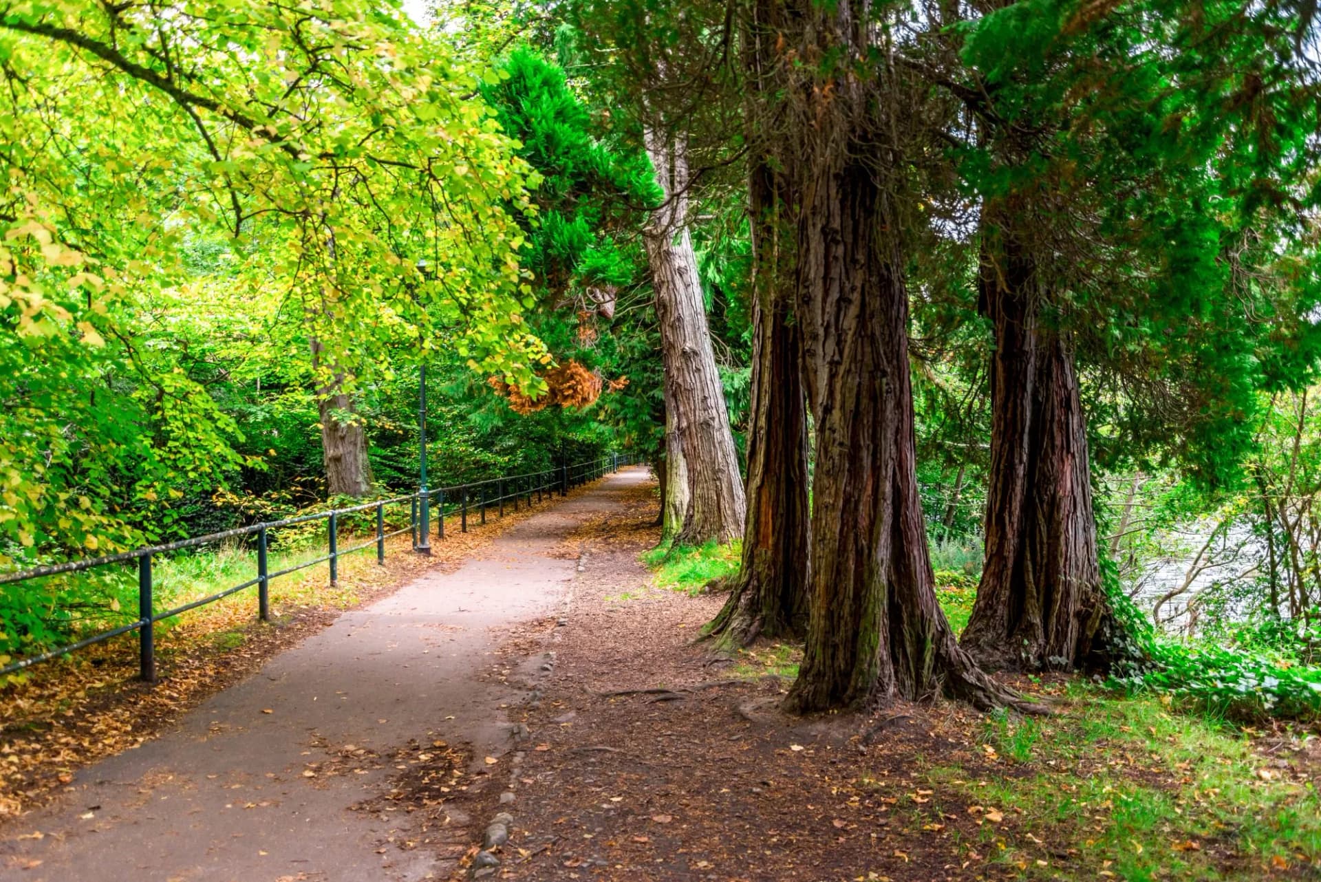 A Great Glen way footpath along river Ness, Inverness, Scotland