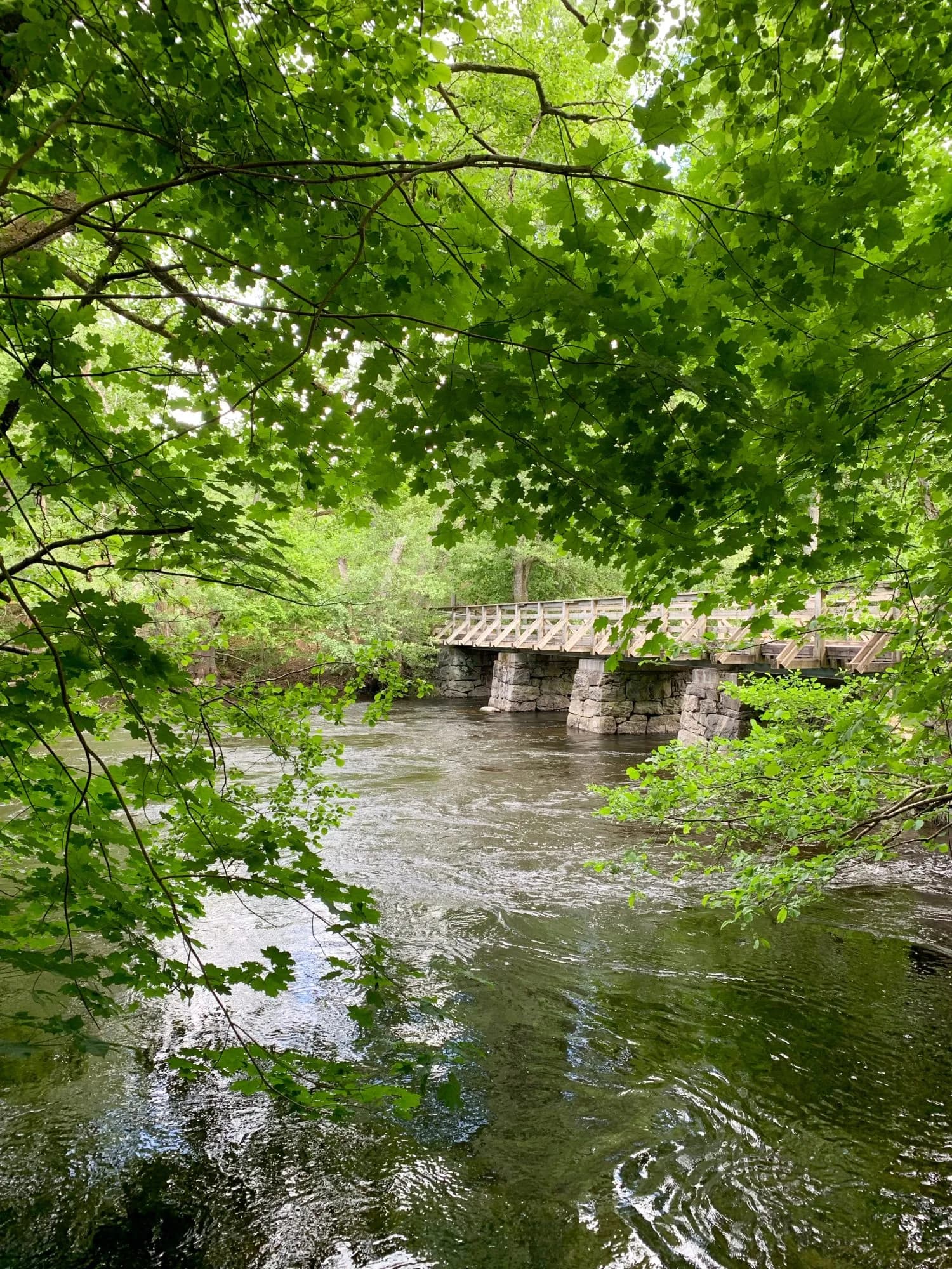 River, lush green trees and stone bridge behind the foliage. Vertical nature photography taken in Sweden in summer time.