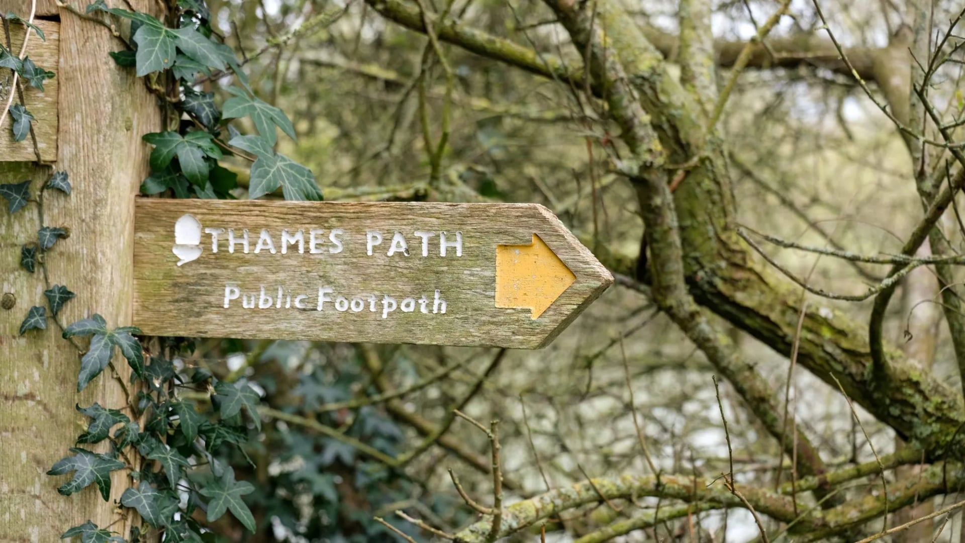 A wooden public footpath signpost on the Thames Path beside the river