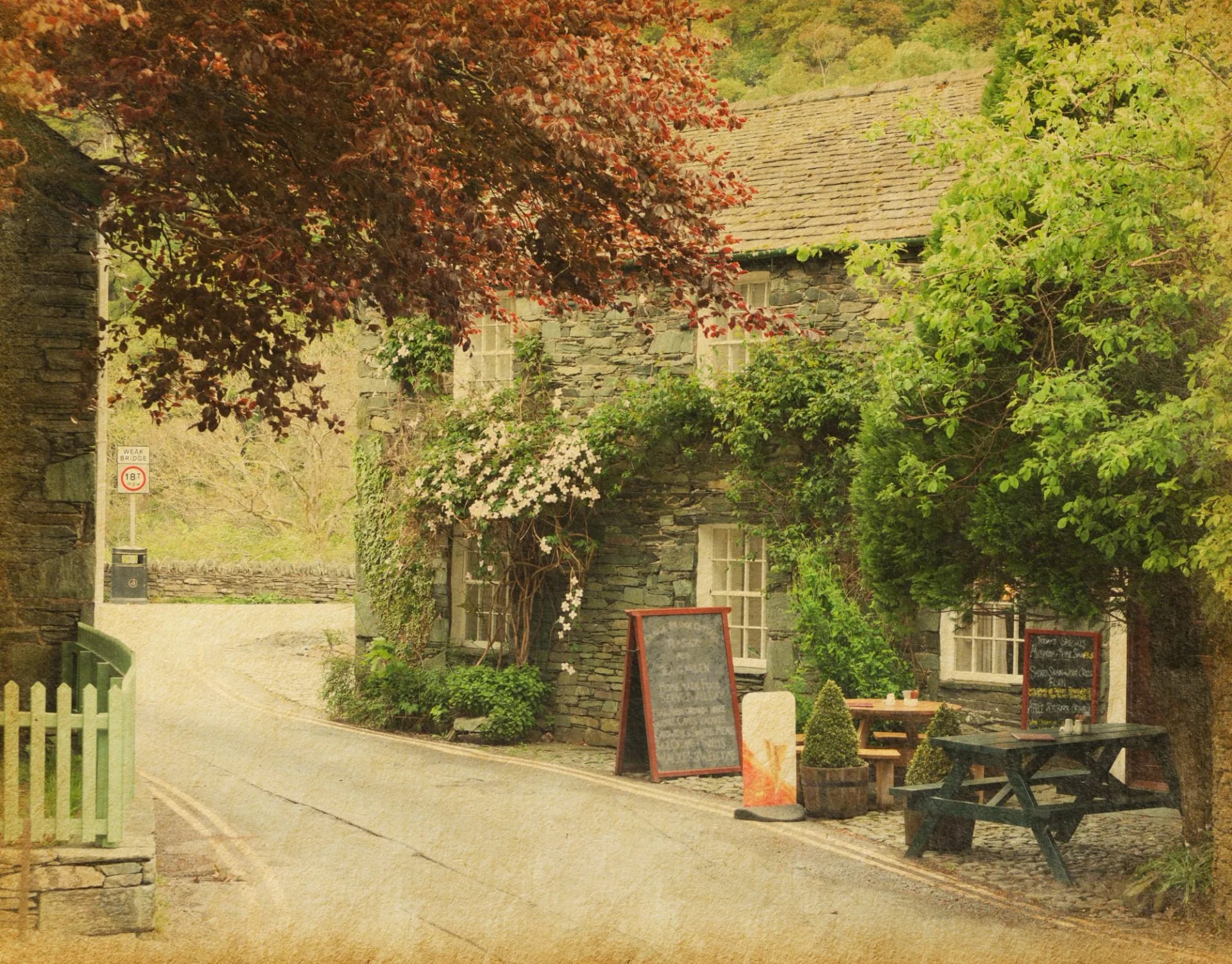 A creeper covered village pub with benches outside on a quiet lane