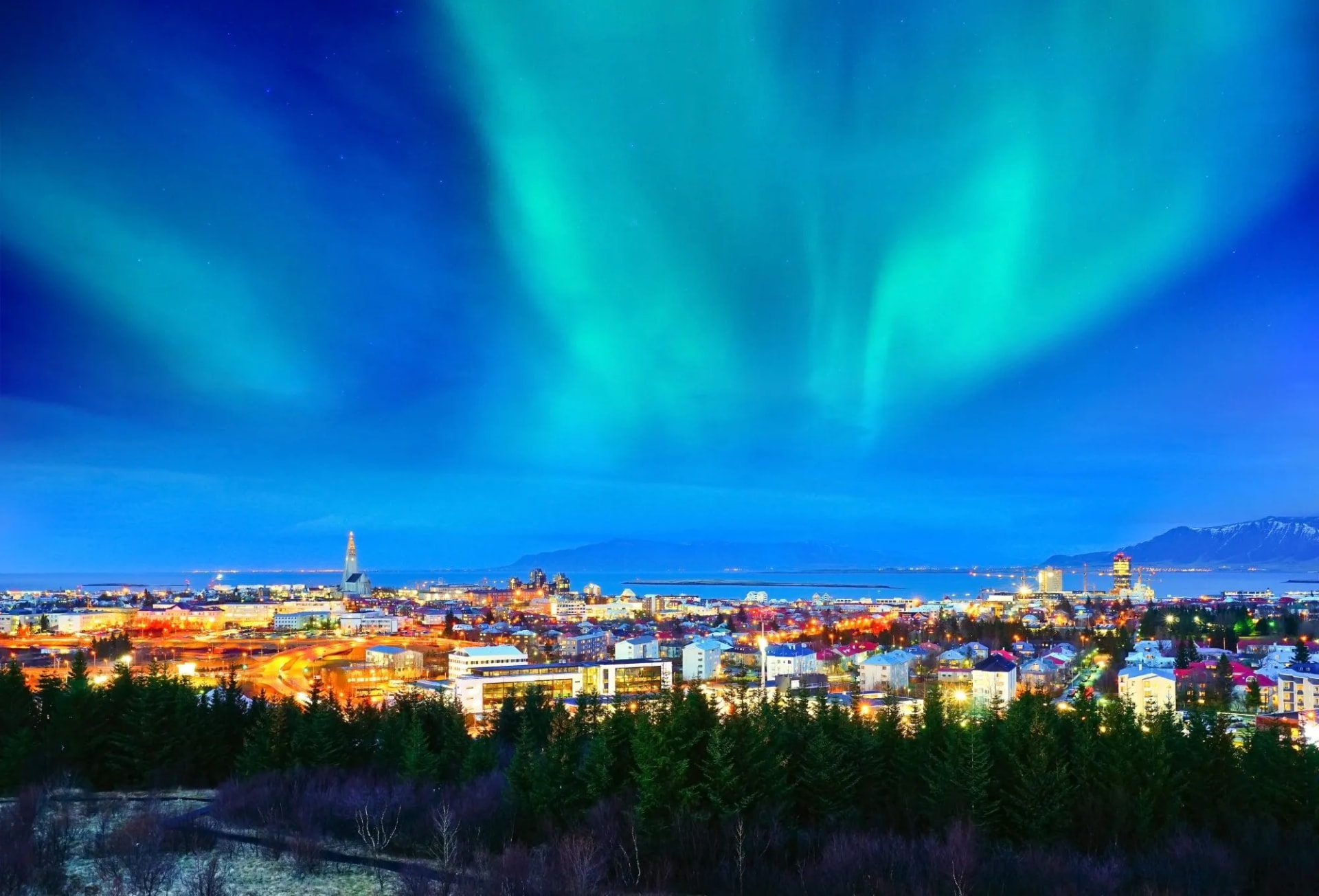 northern lights reykjavik