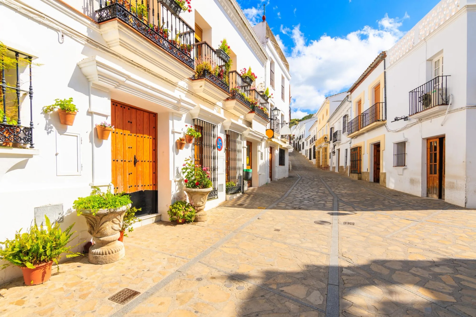 Narrow cobblestone street with white Andalusian houses and flower pots in Zahara de la Sierra, Spain.