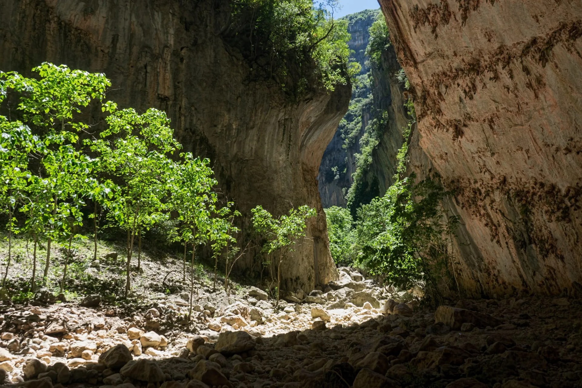 la garganta verde