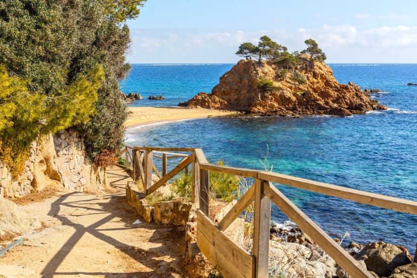 cape roig