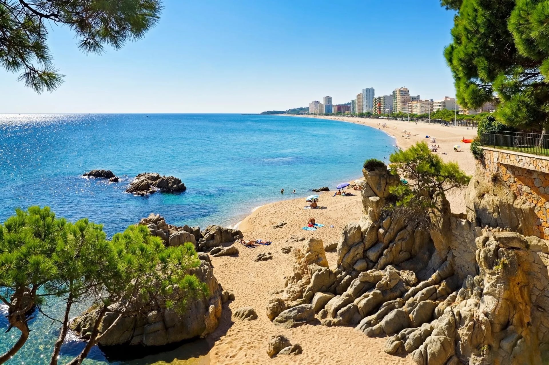 Rocky cove with pines in the foreground and the apartment blocks of Platja d'Aro along the bay