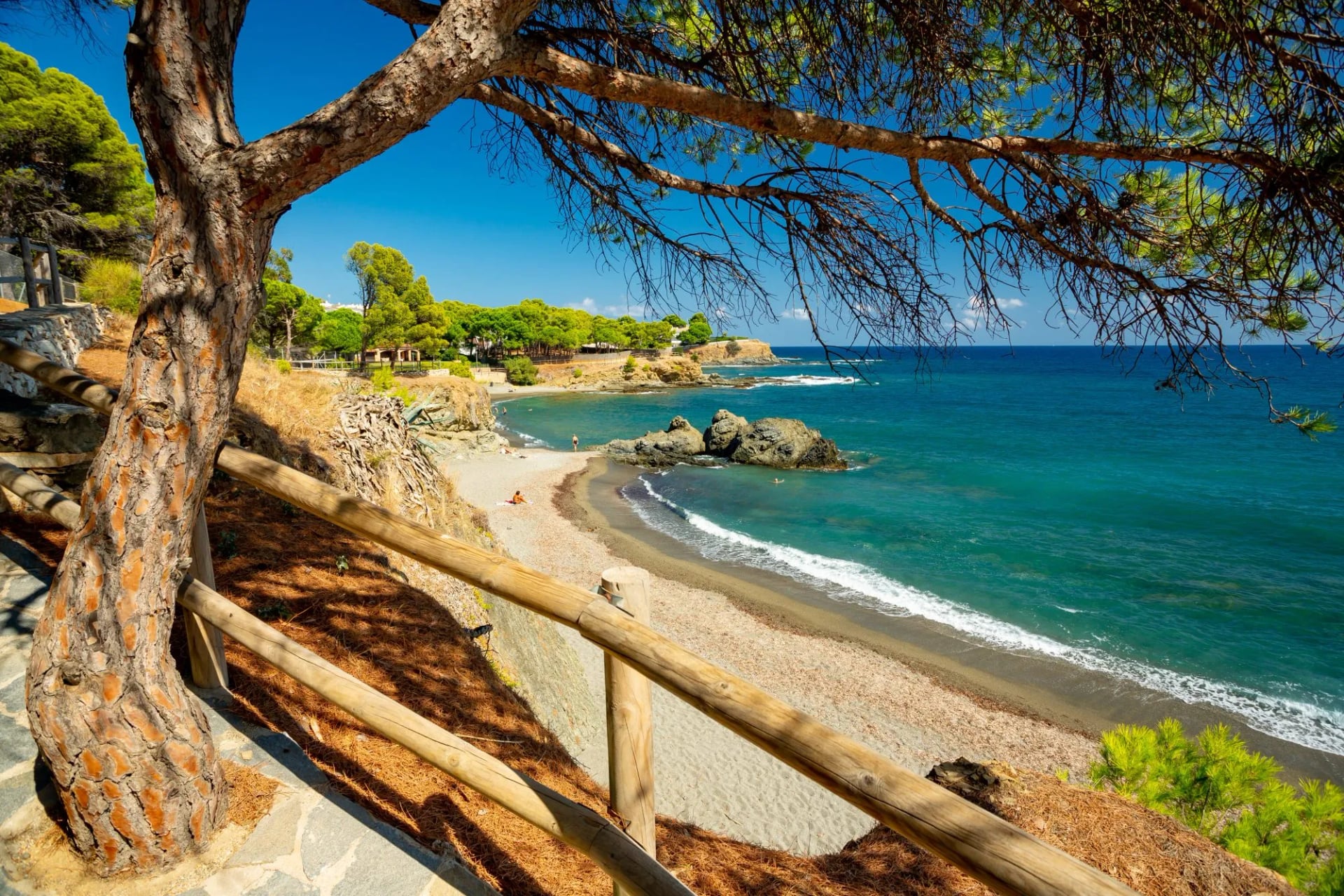 Turquoise water and a small beach framed by a pine on the shore near Llançà