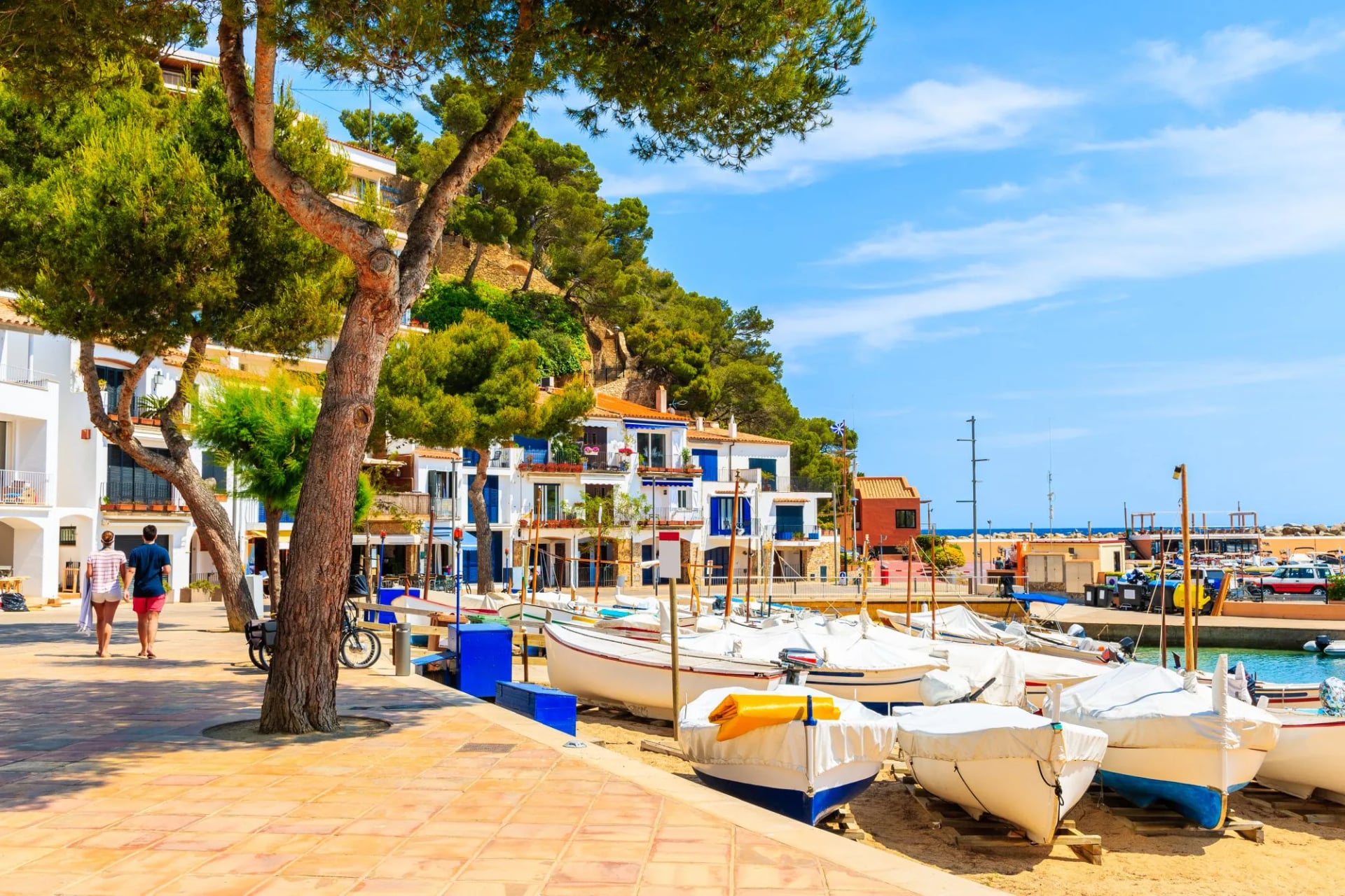 White fishing boats drawn up on the promenade at Llafranc below pines and painted houses