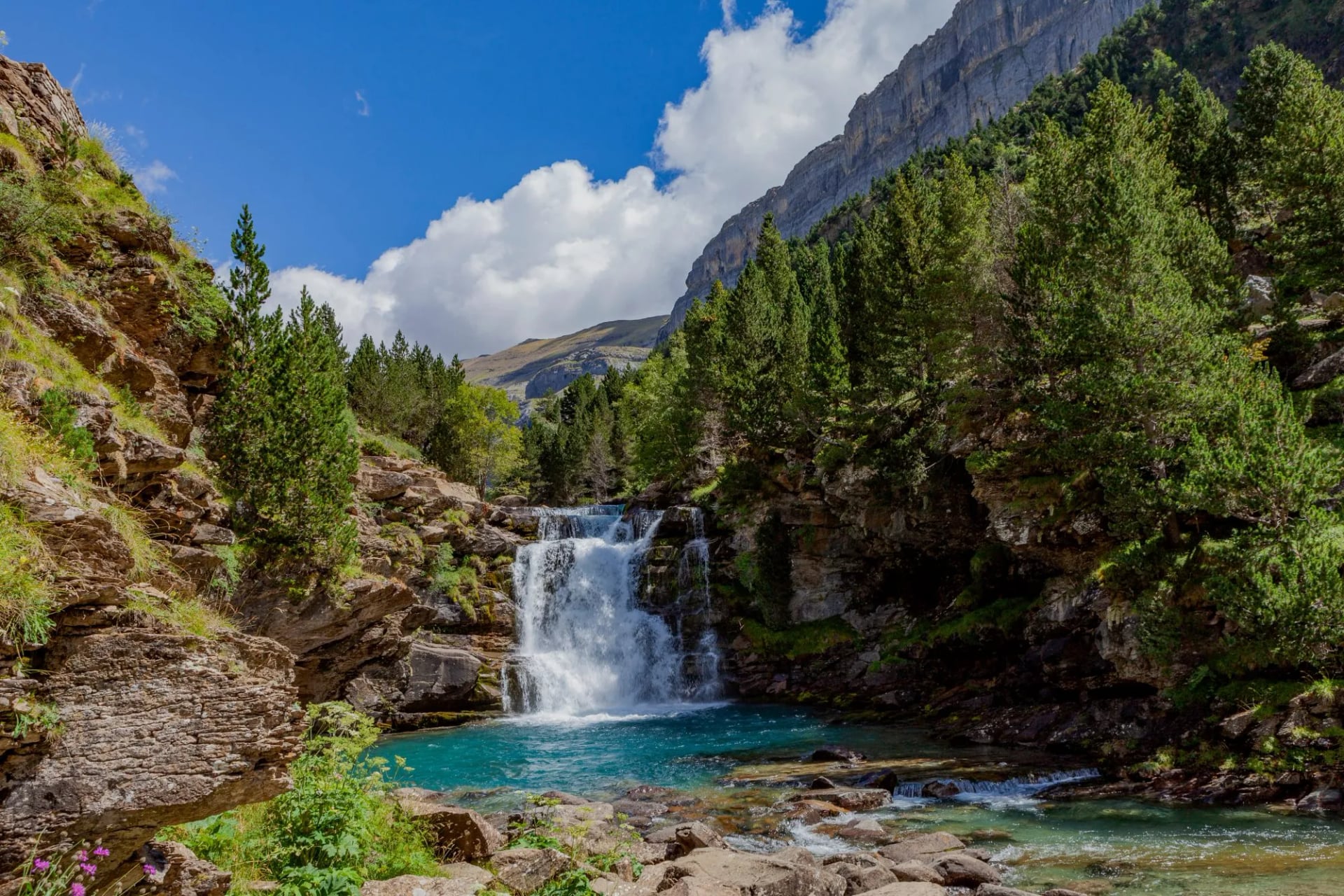 Waterfall in the wooded floor of the Ordesa canyon below a high limestone wall