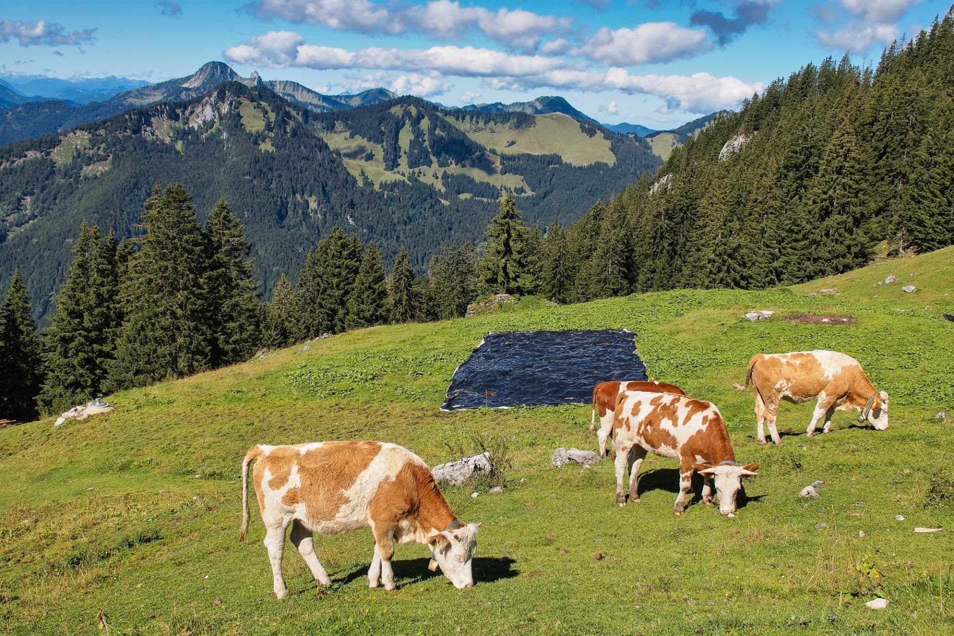 Bavarian Alps, Rotwand, close to Munich, South Germany