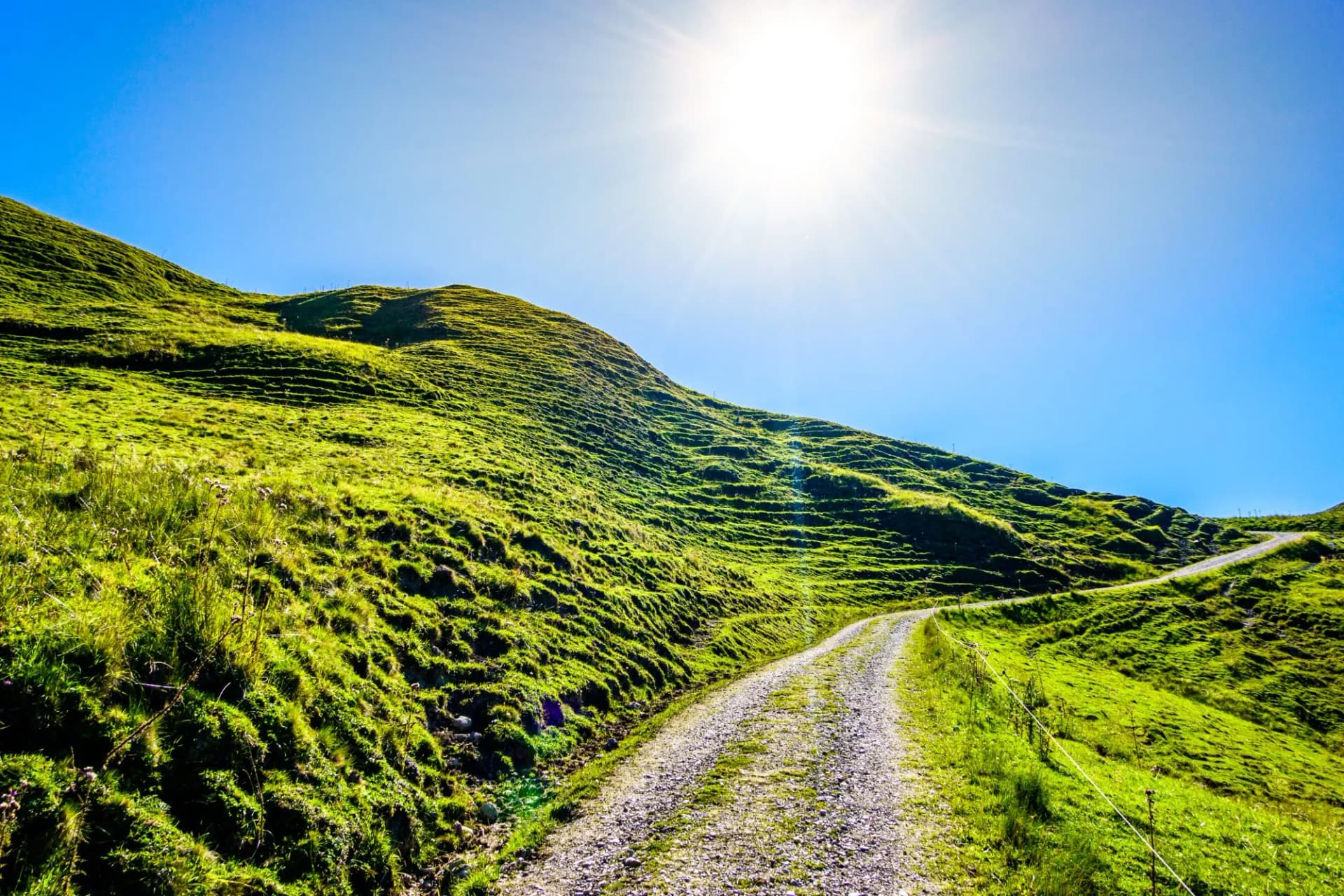 view from the Fockenstein mountain in bavaria