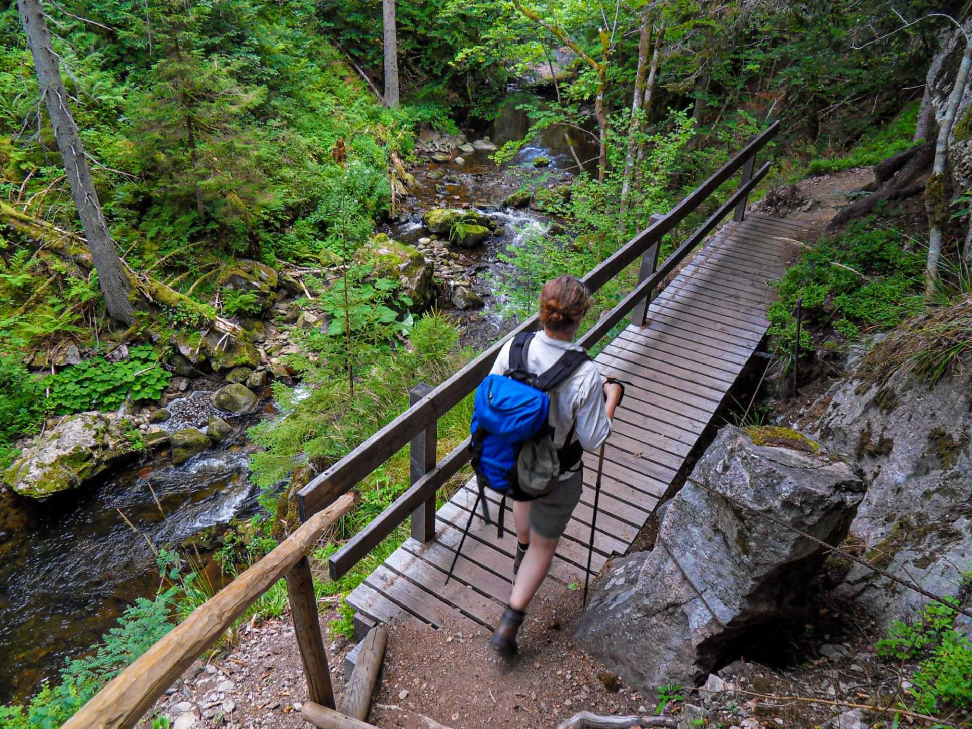 Wandern auf dem Schluchtensteig im Schwarzwald
