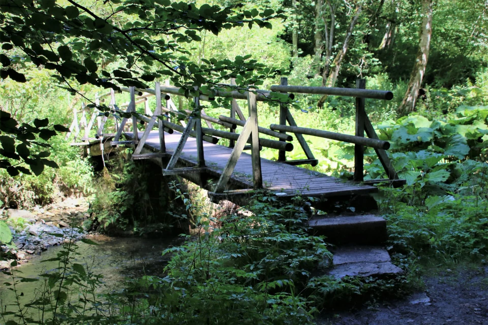 Wooden footbridge over a small stream in a lush, green forest setting, Wutachflühen.